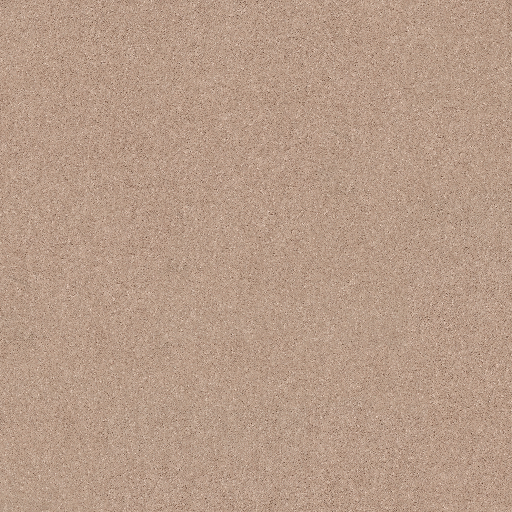 DYERSBURG II 12' CASHMERE MAIN