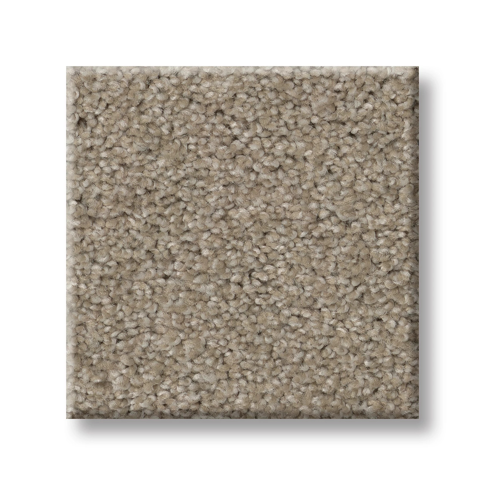 BEAUTIFULLY SIMPLE DOESKIN SWATCH