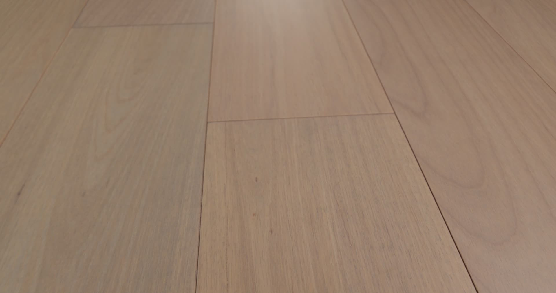 BRASILIA CAMPO 360PROD