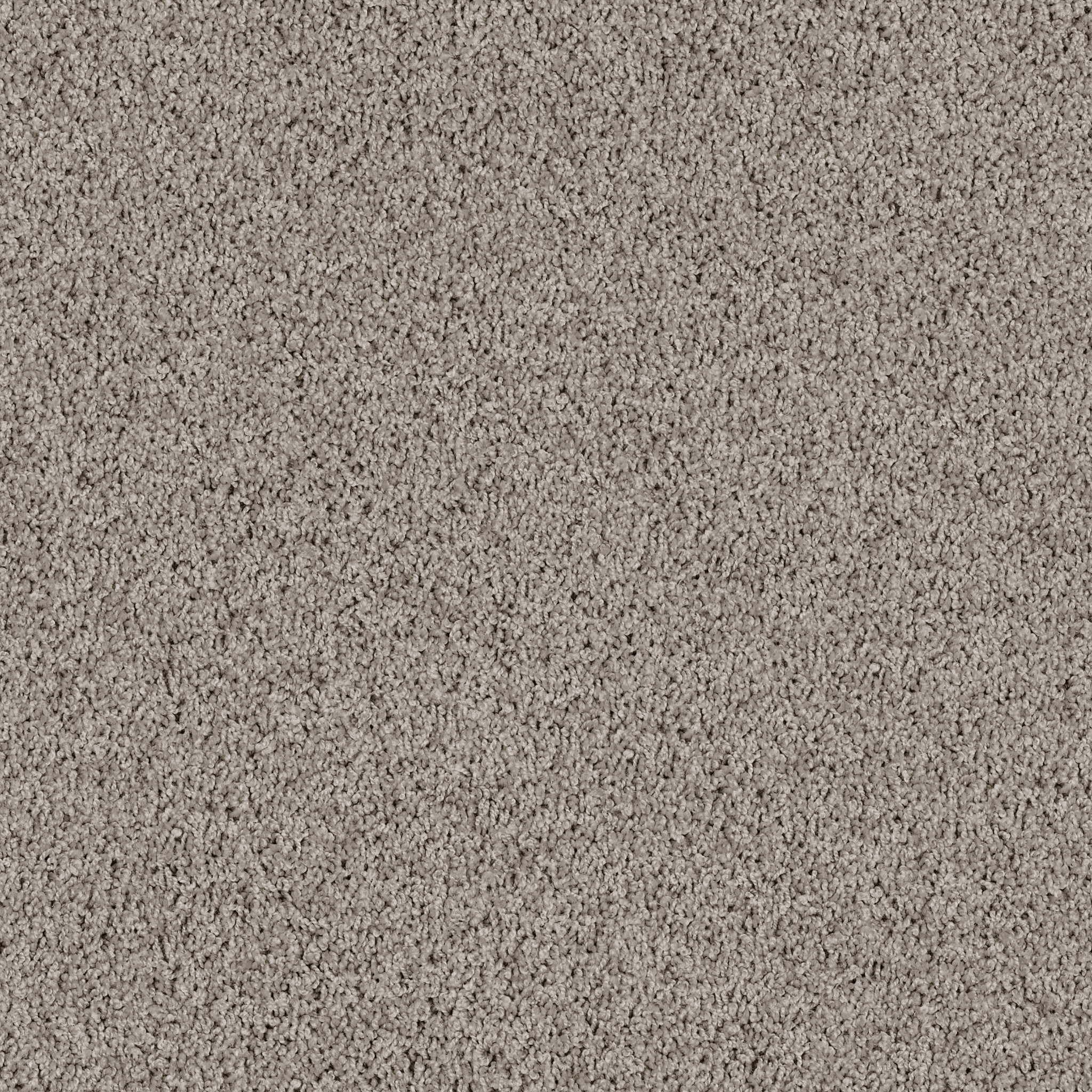 LONESTAR DOVETAIL MAIN