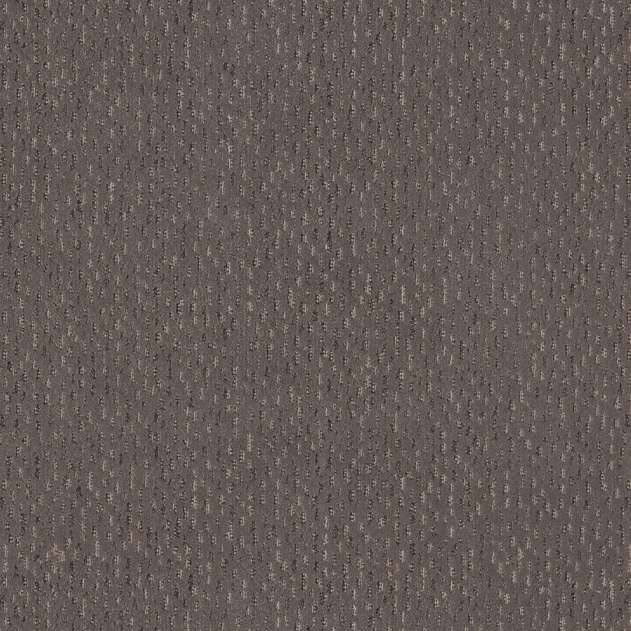 AMBITIOUS WALNUT MAIN