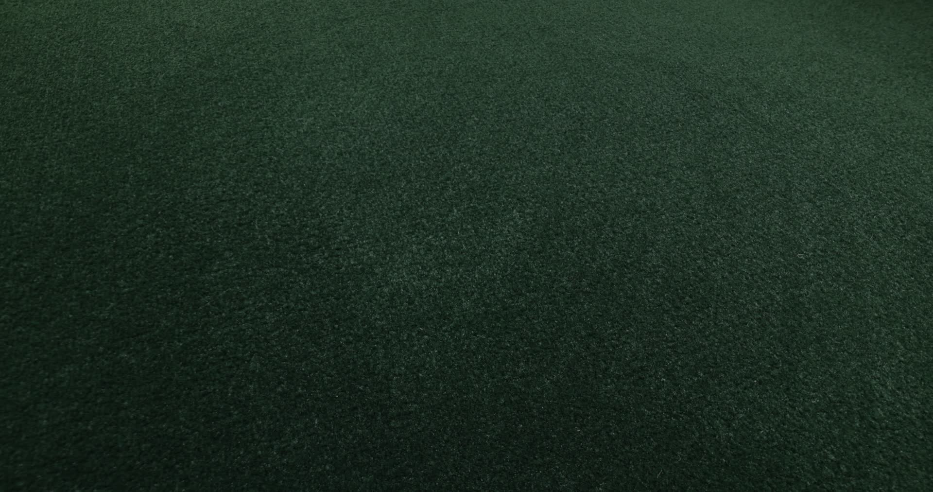 Scepter II Boxwood Rotation360