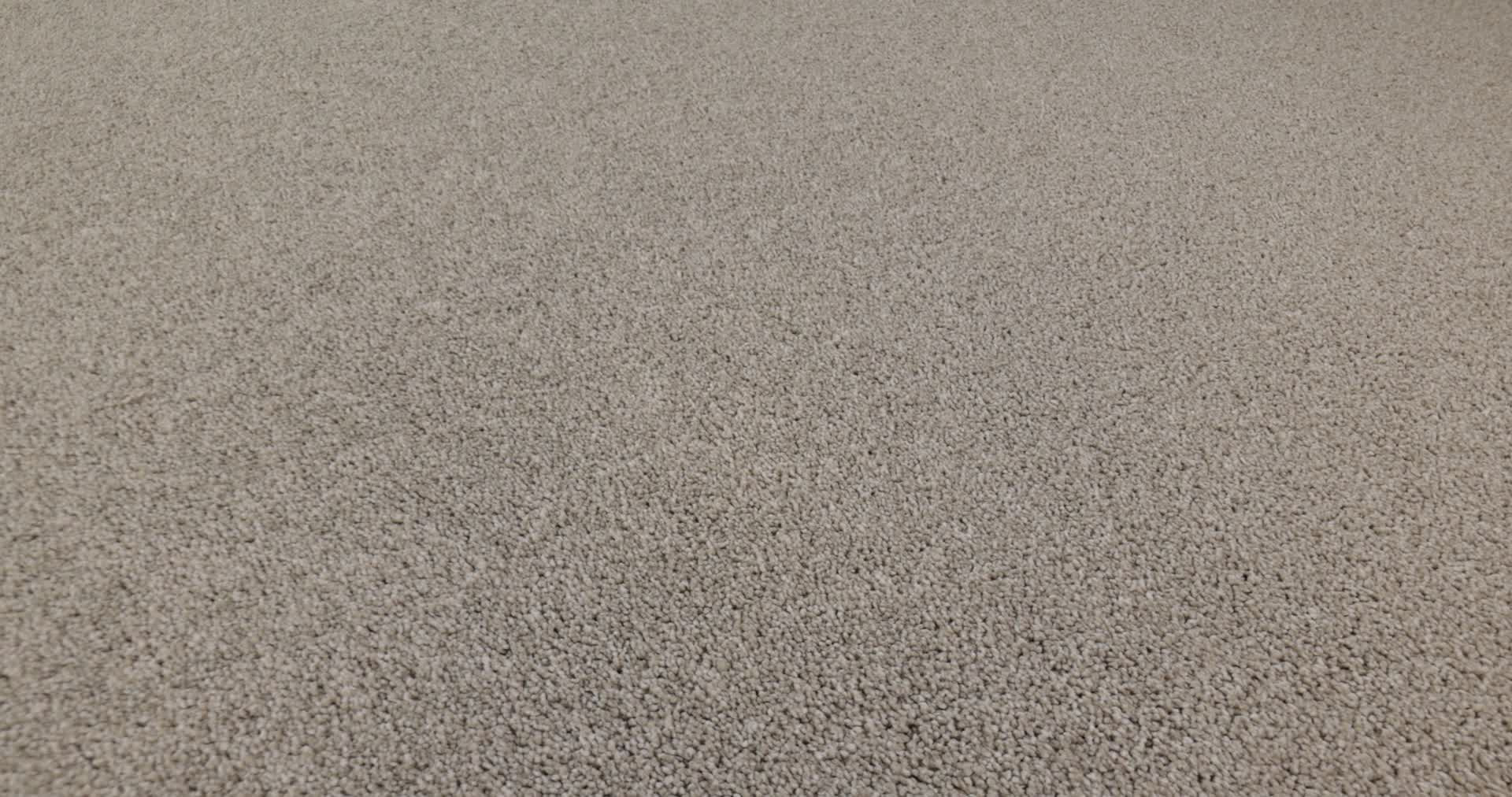 VIVID TOUCH II CHIC TAUPE 360PROD