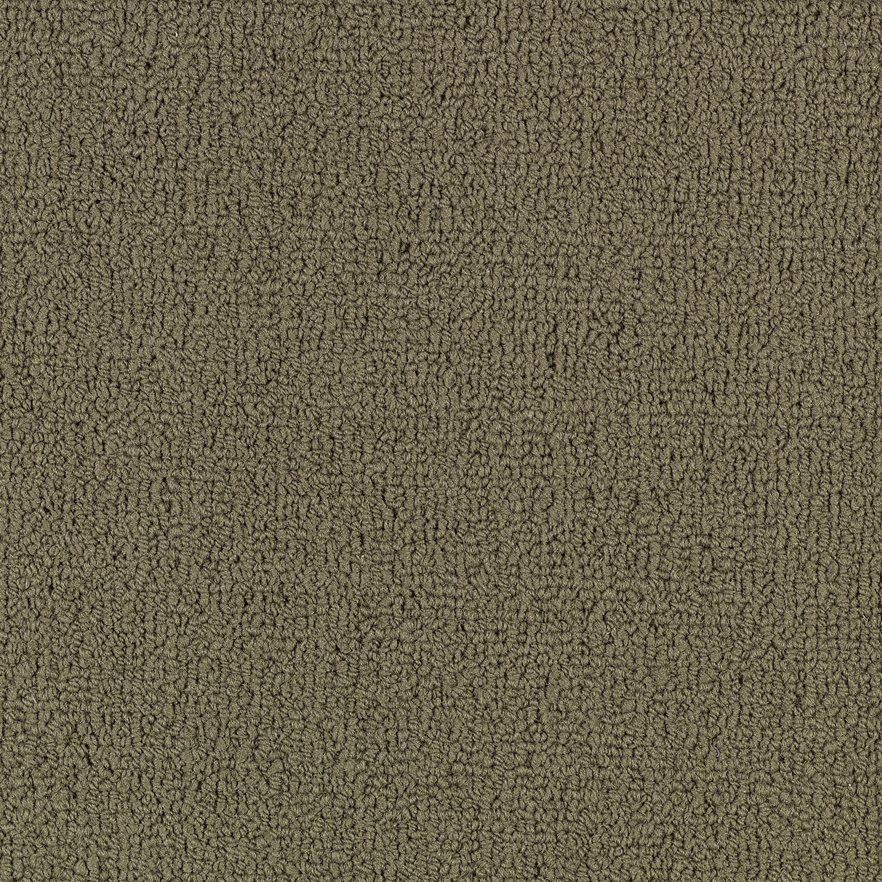 COLOR-ACCENTS-BL-54584-PORTABELLA-62761-main-image