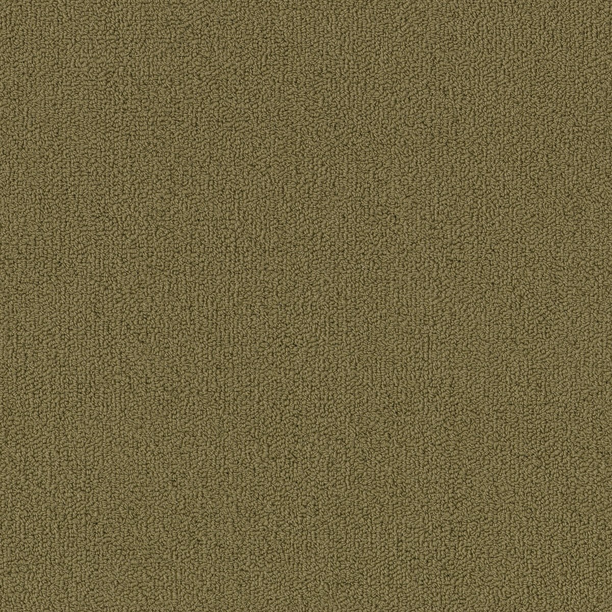 COLOR ACCENTS BL — ALOE