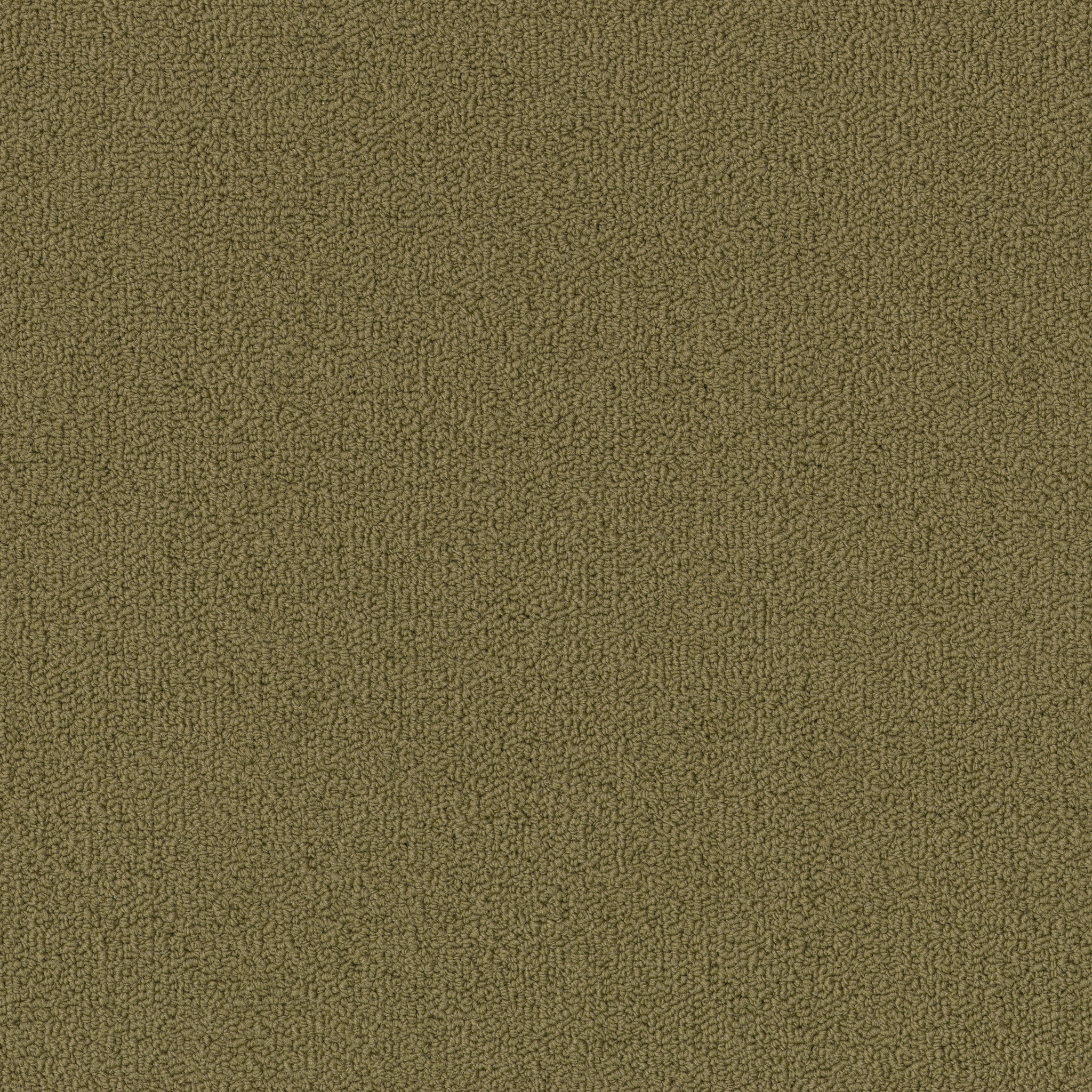 COLOR-ACCENTS-BL-54584-ALOE-62546-main-image