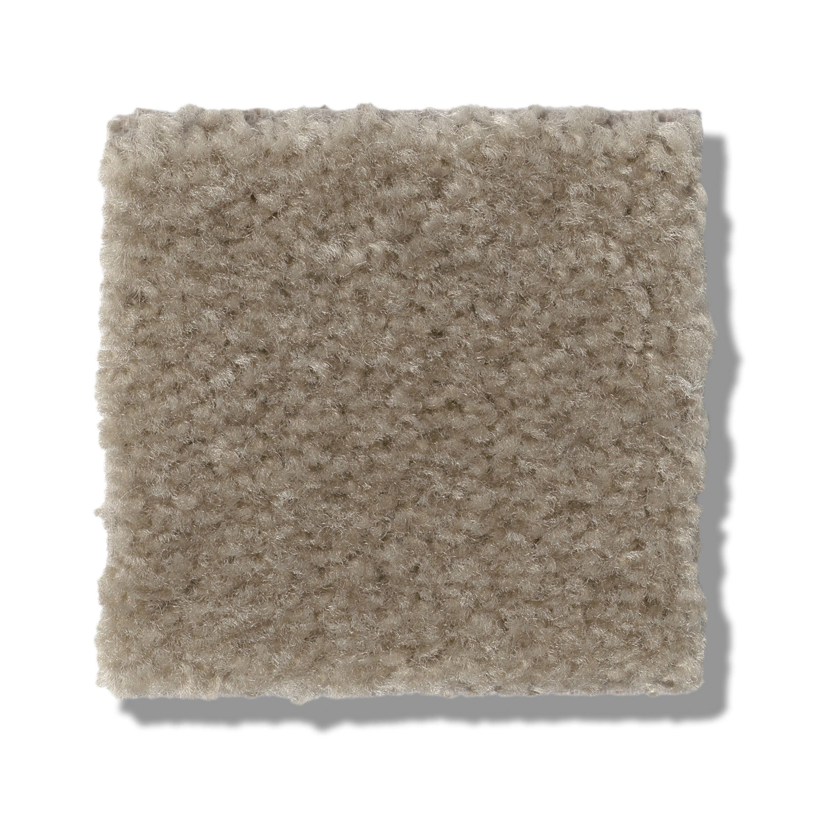 THIS IS IT PLUS CREEK SIDE SWATCH