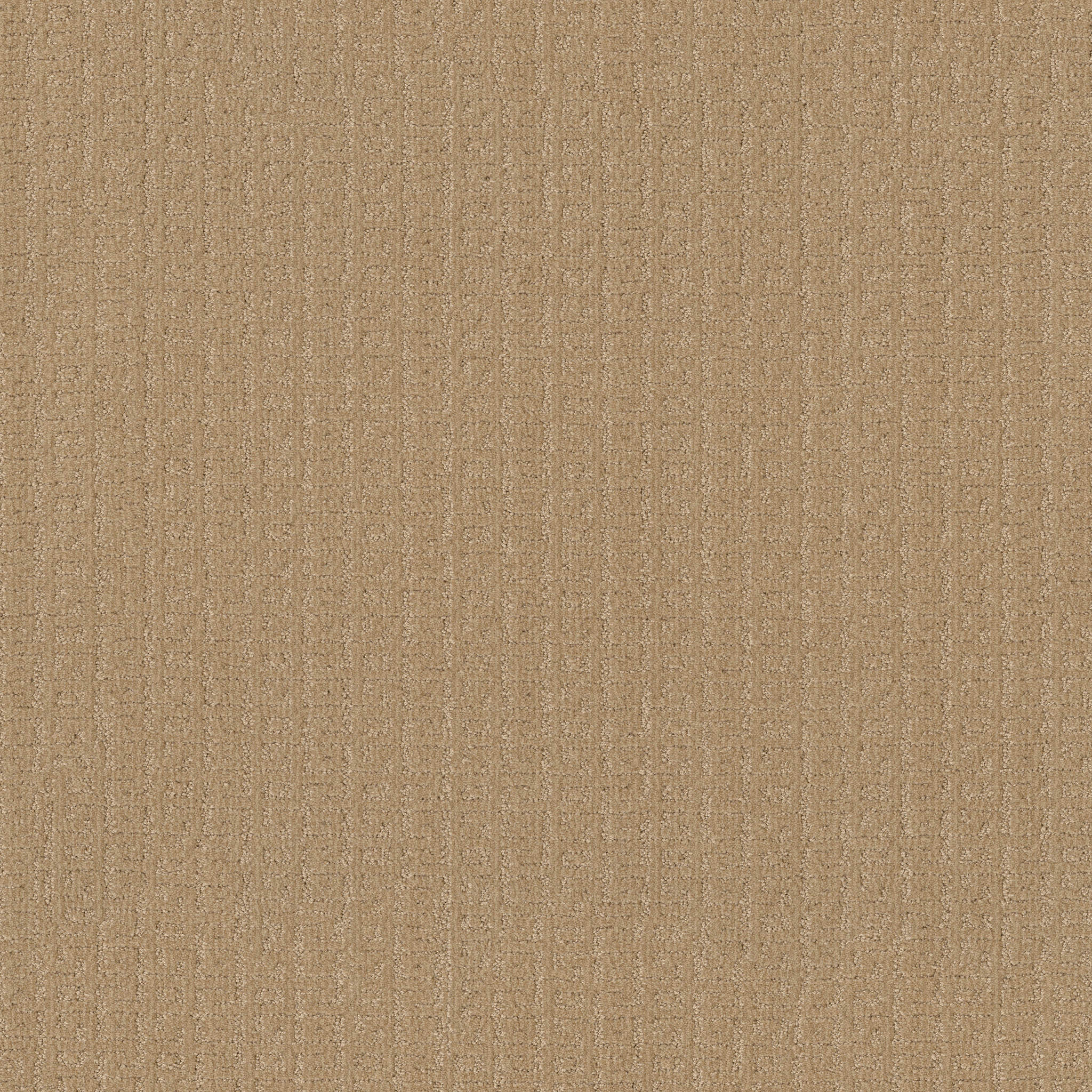 VIGNETTE CELEBRATION MAIN