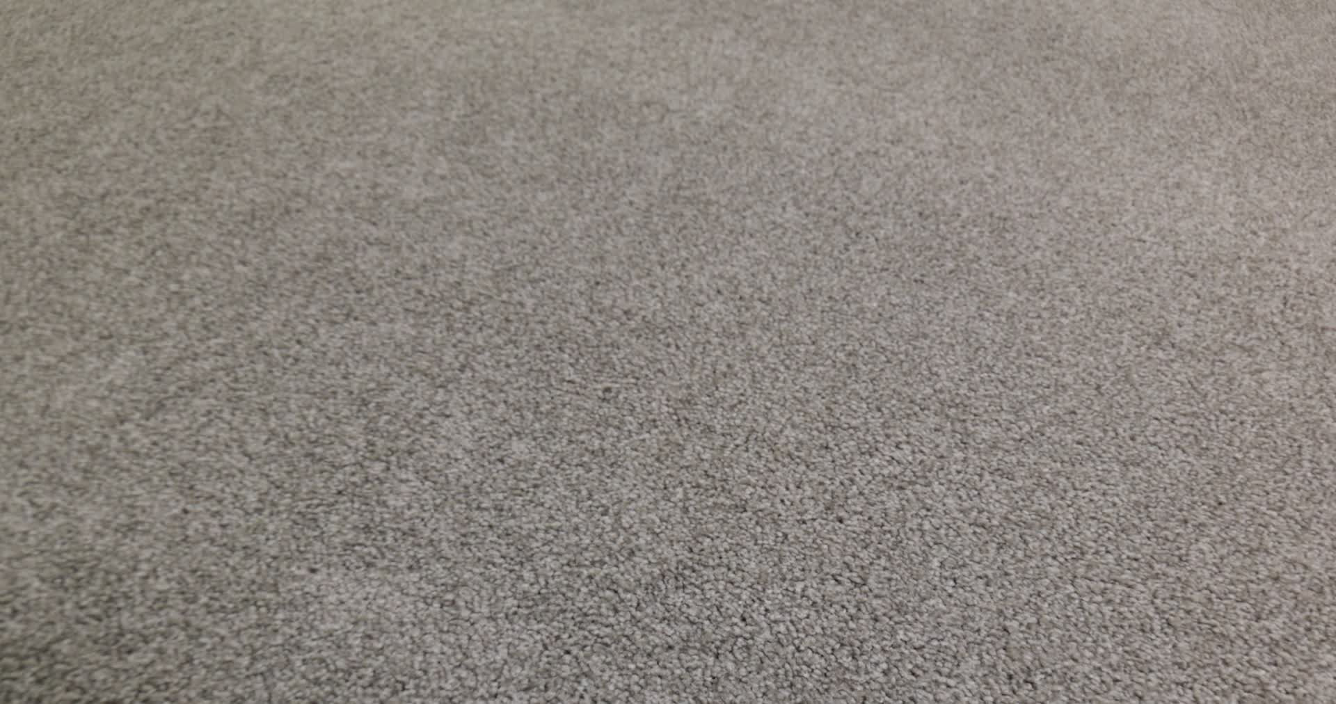 HARMONIOUS III GREY FOX 360PROD