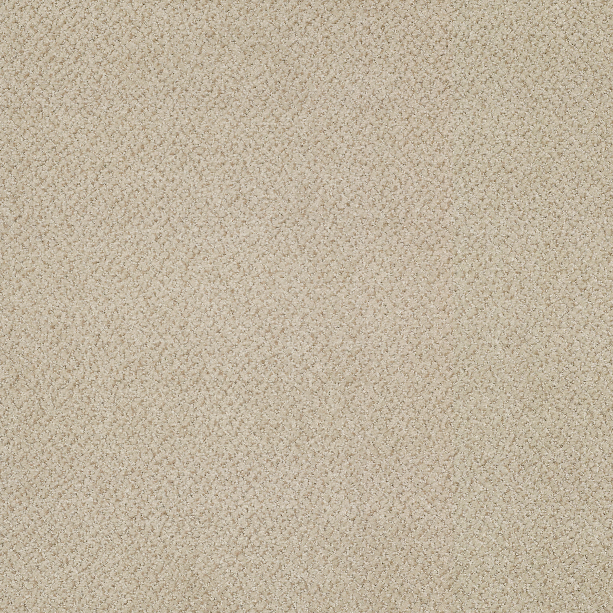 PRIMUS-54510-FAVORED-10100-main-image