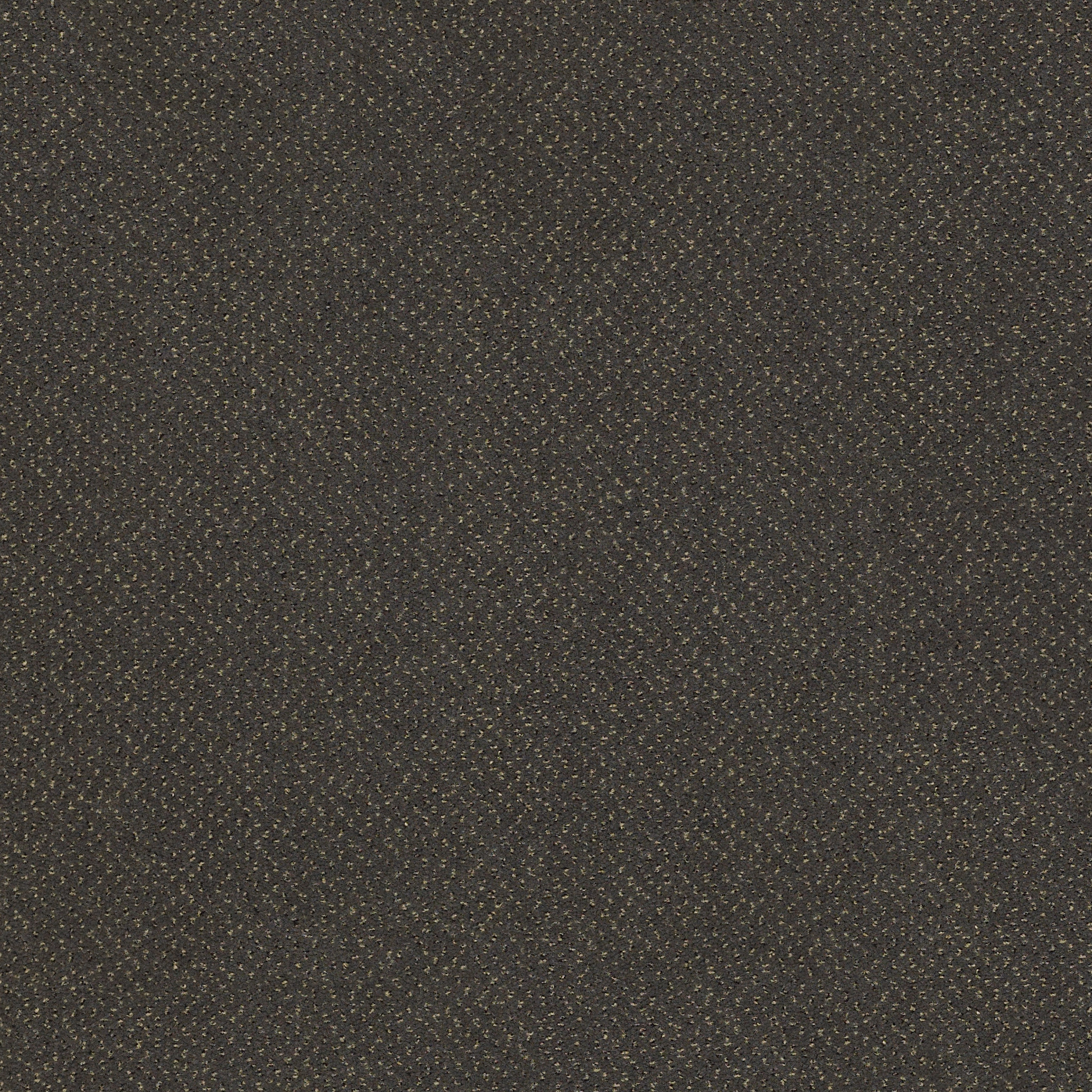 FUTURE-GENERATIONS-54644-CENTURY-44505-main-image