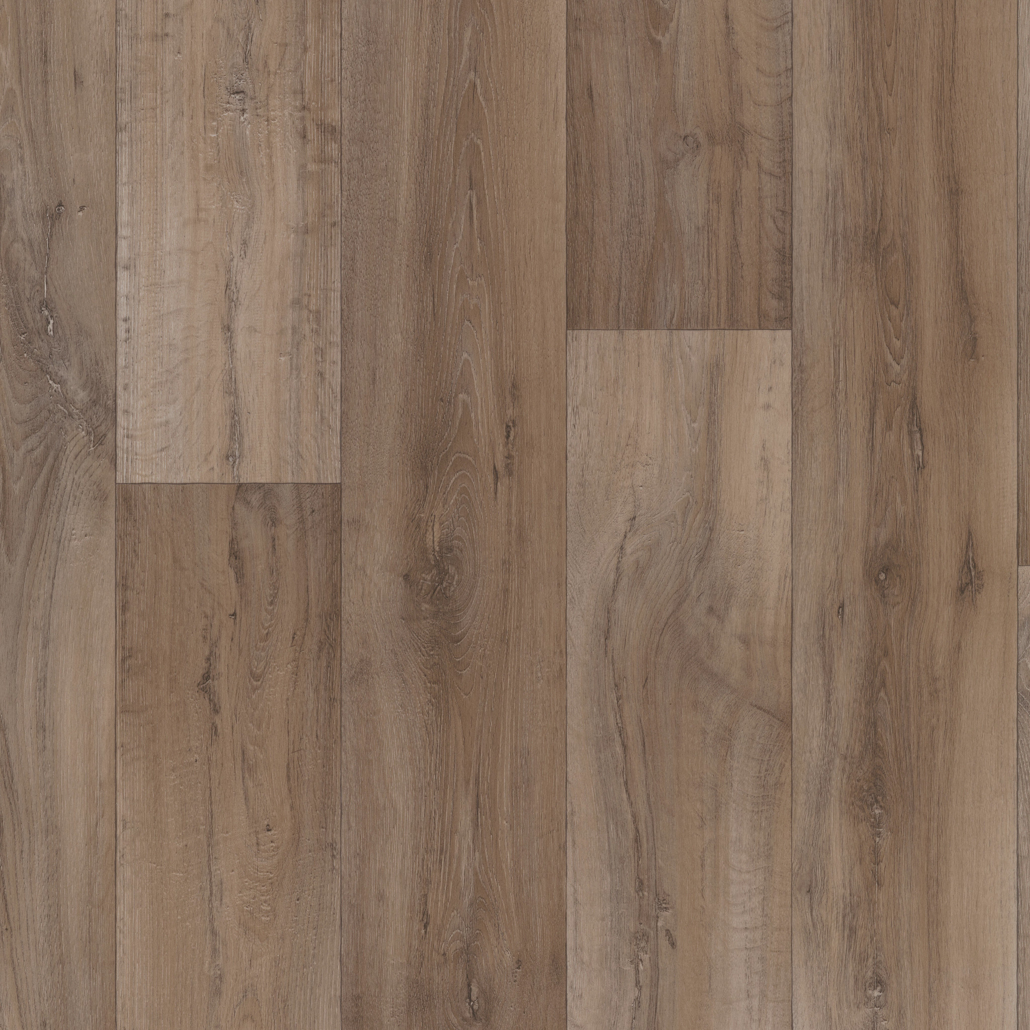 SERENDIPITY PAVO MAIN