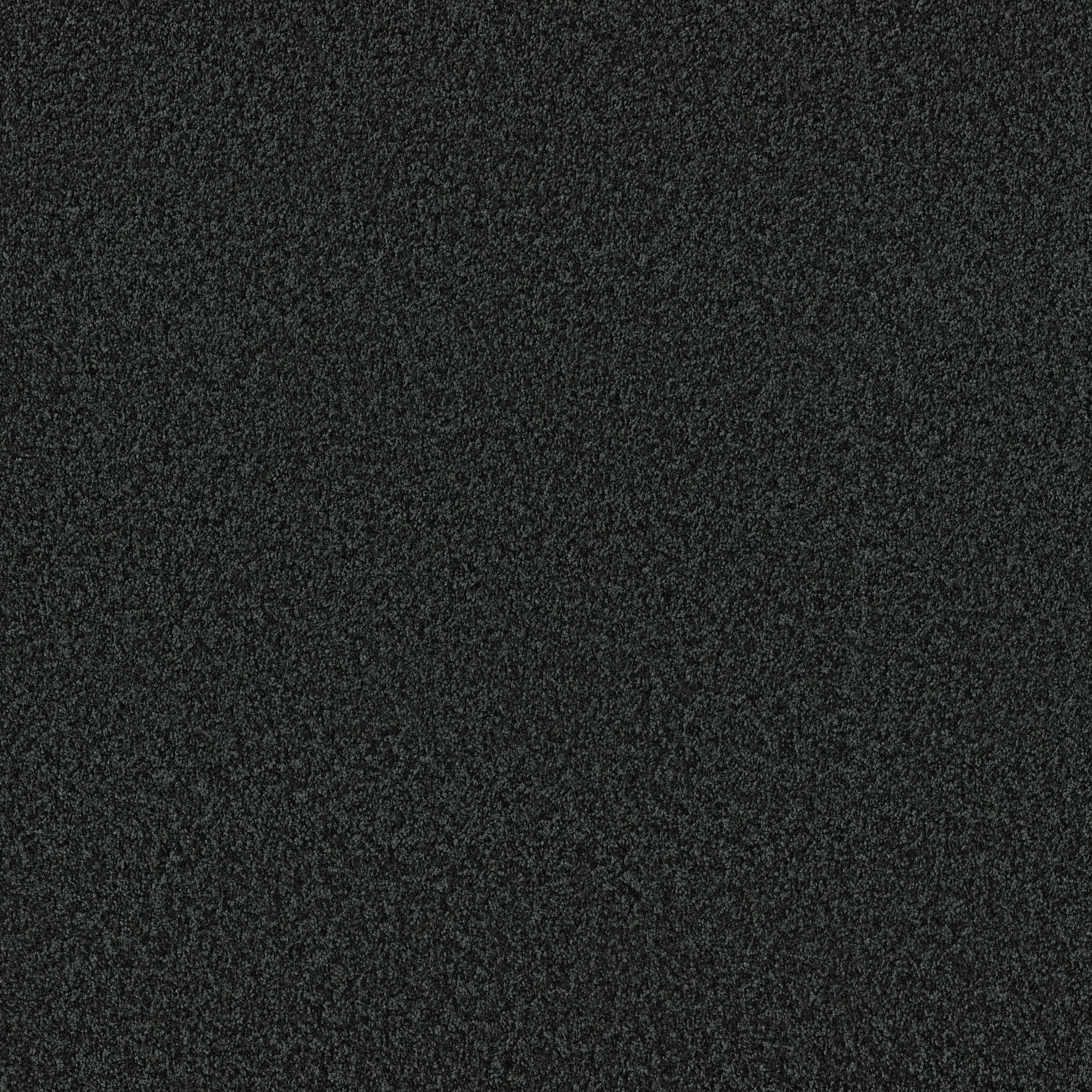 PREMIER ROLE NIGHTFALL NAVY MAIN