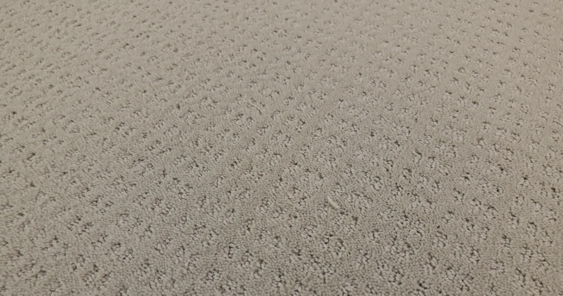 ESSENTIAL NOW FOSSIL PATH 360PROD