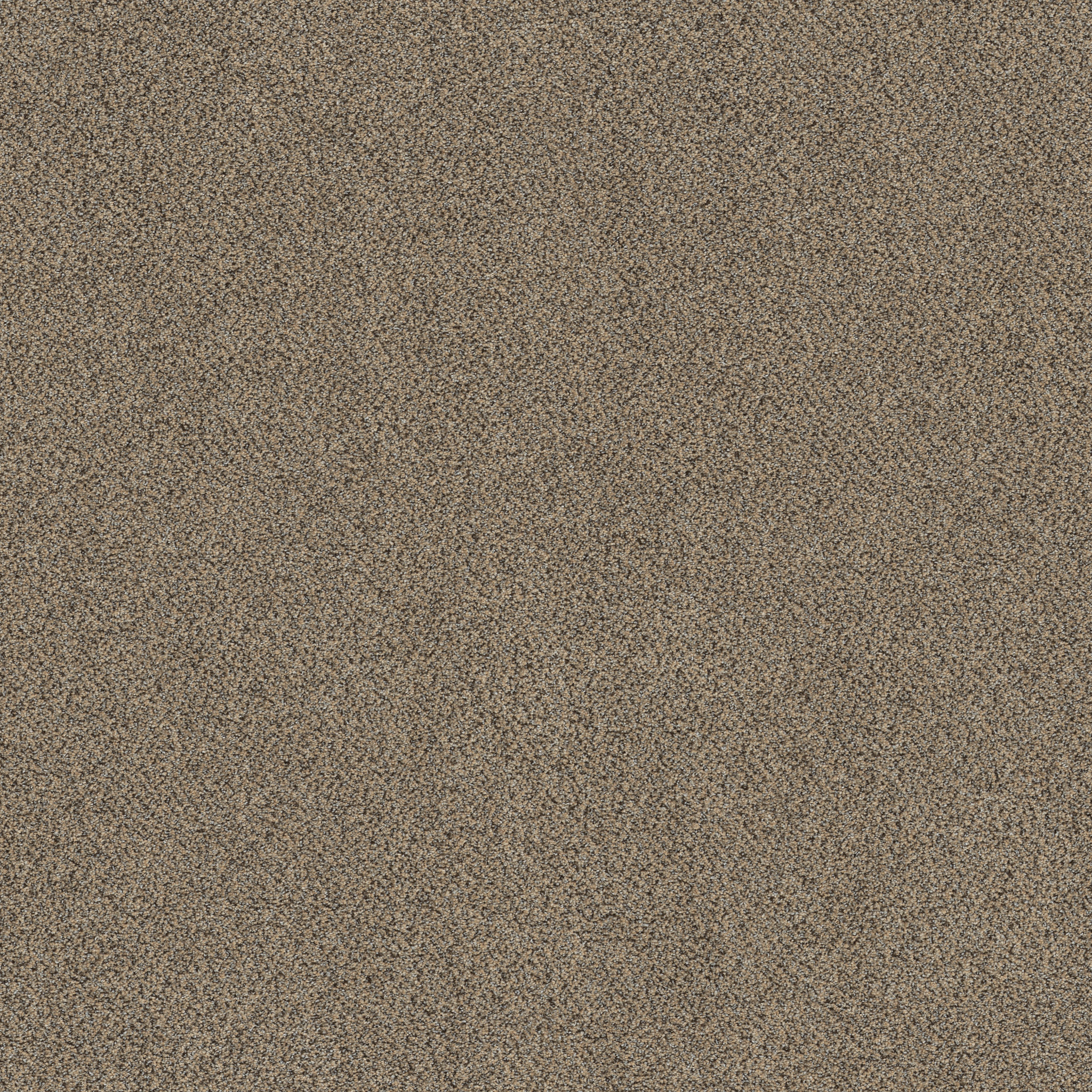 GAME CHANGING III SANDSTONE MAIN