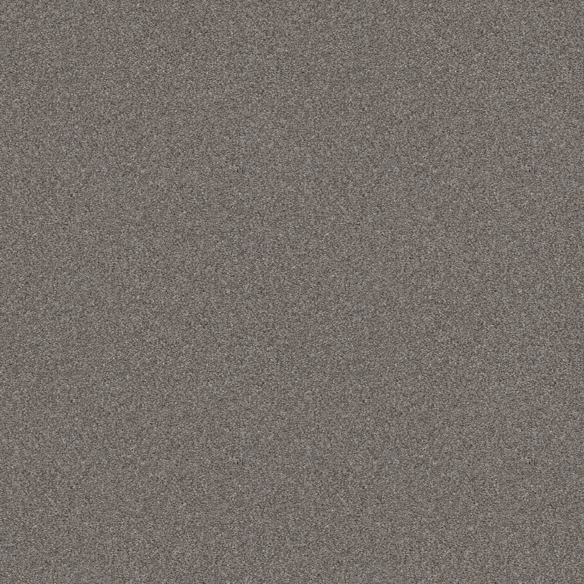 ATTAINABLE ARCTIC SHADOW MAIN