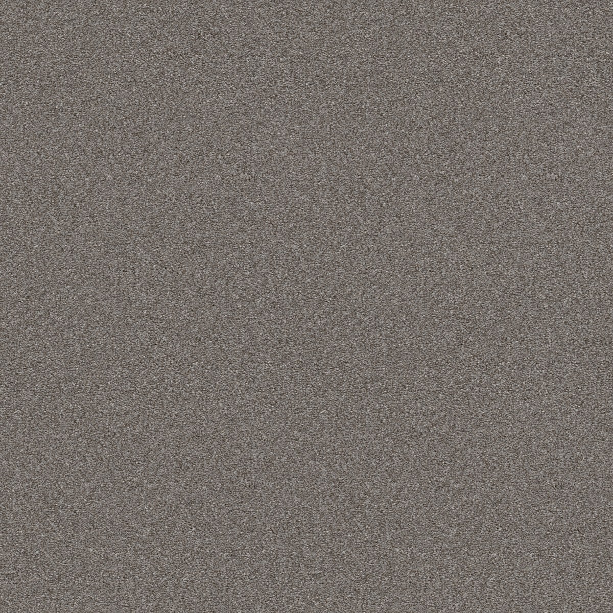 ATTAINABLE — ARCTIC SHADOW