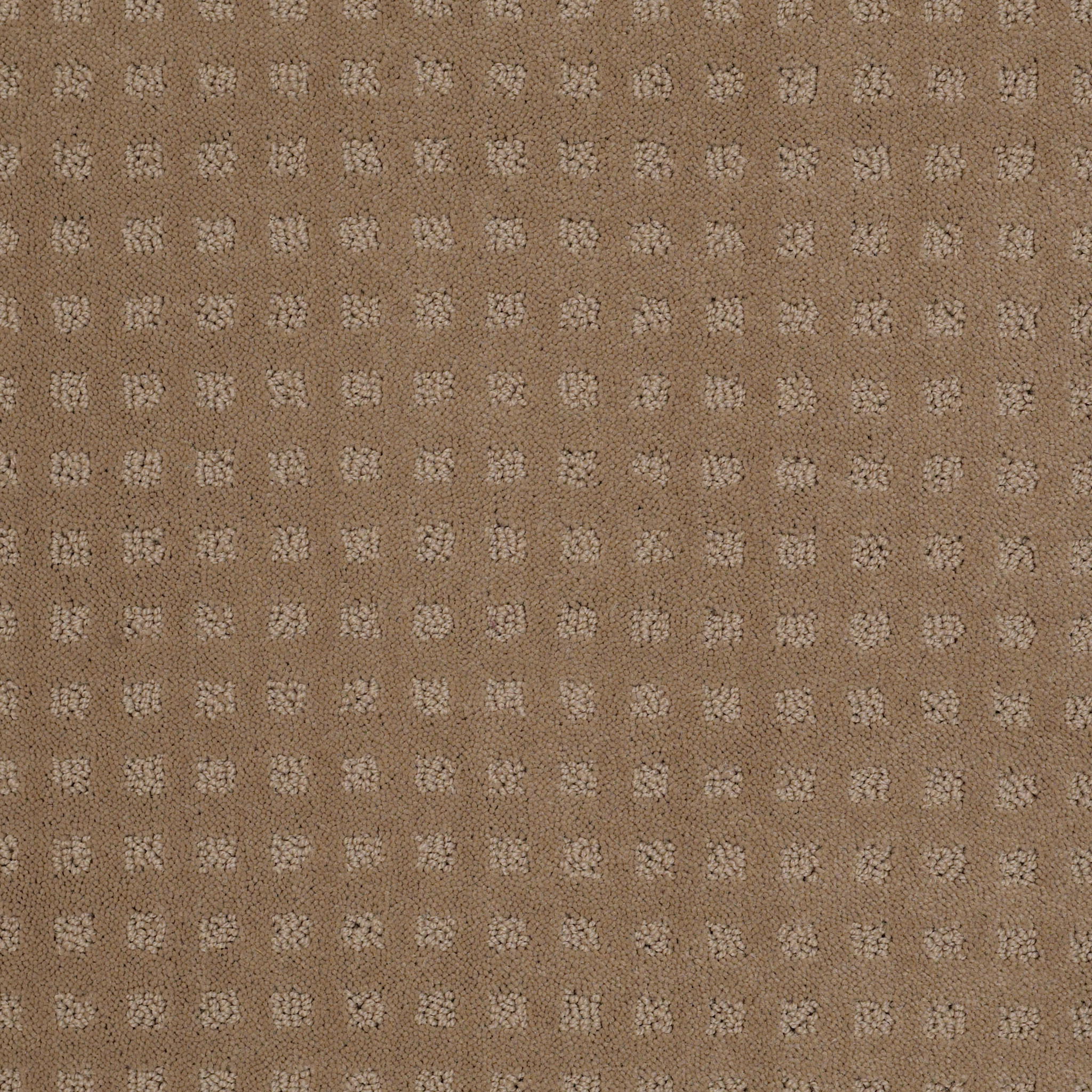 NOTTINGHAM PERFECT BEIGE MAIN