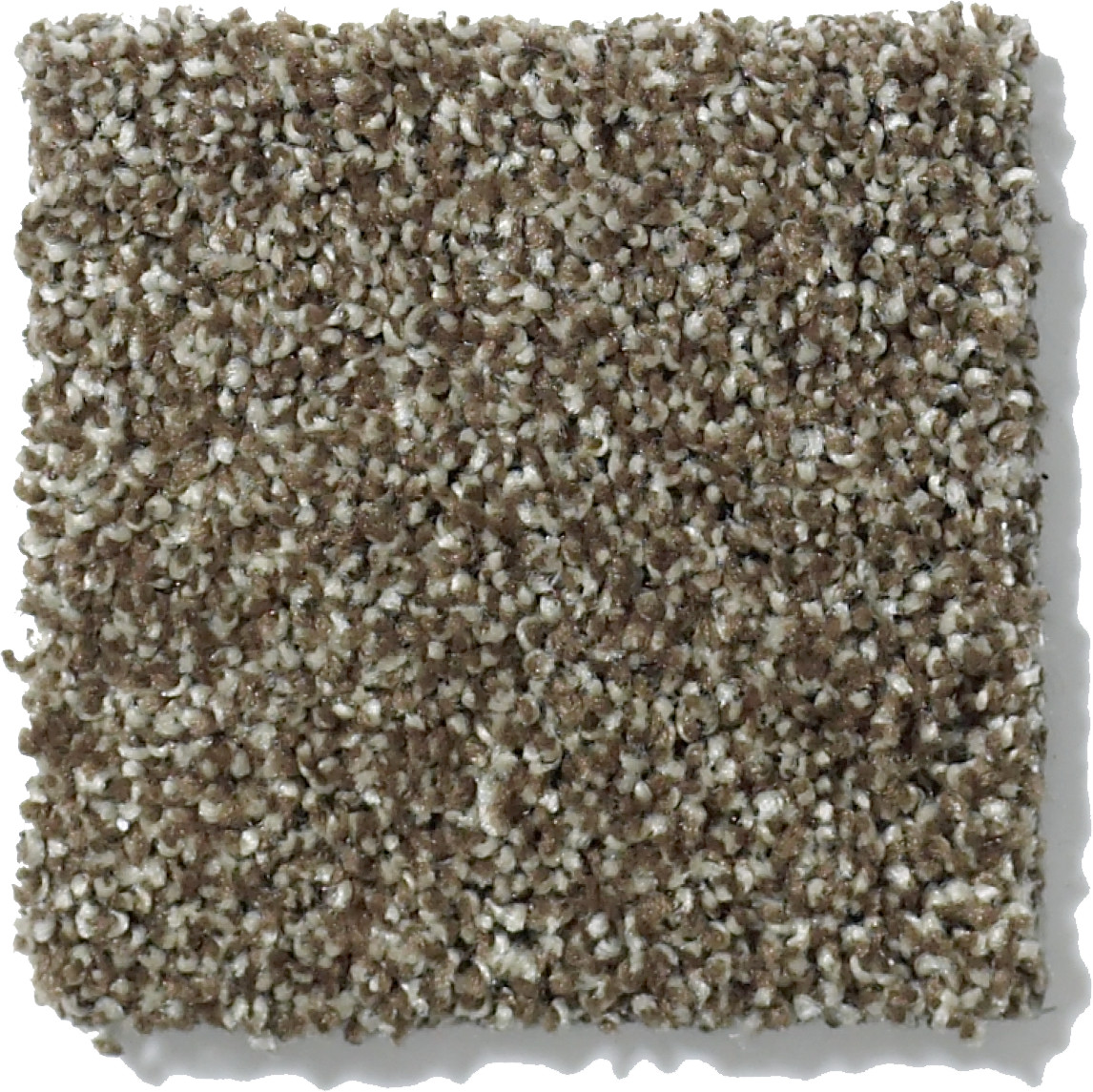 CANVAS TOWNHOUSE SWATCH