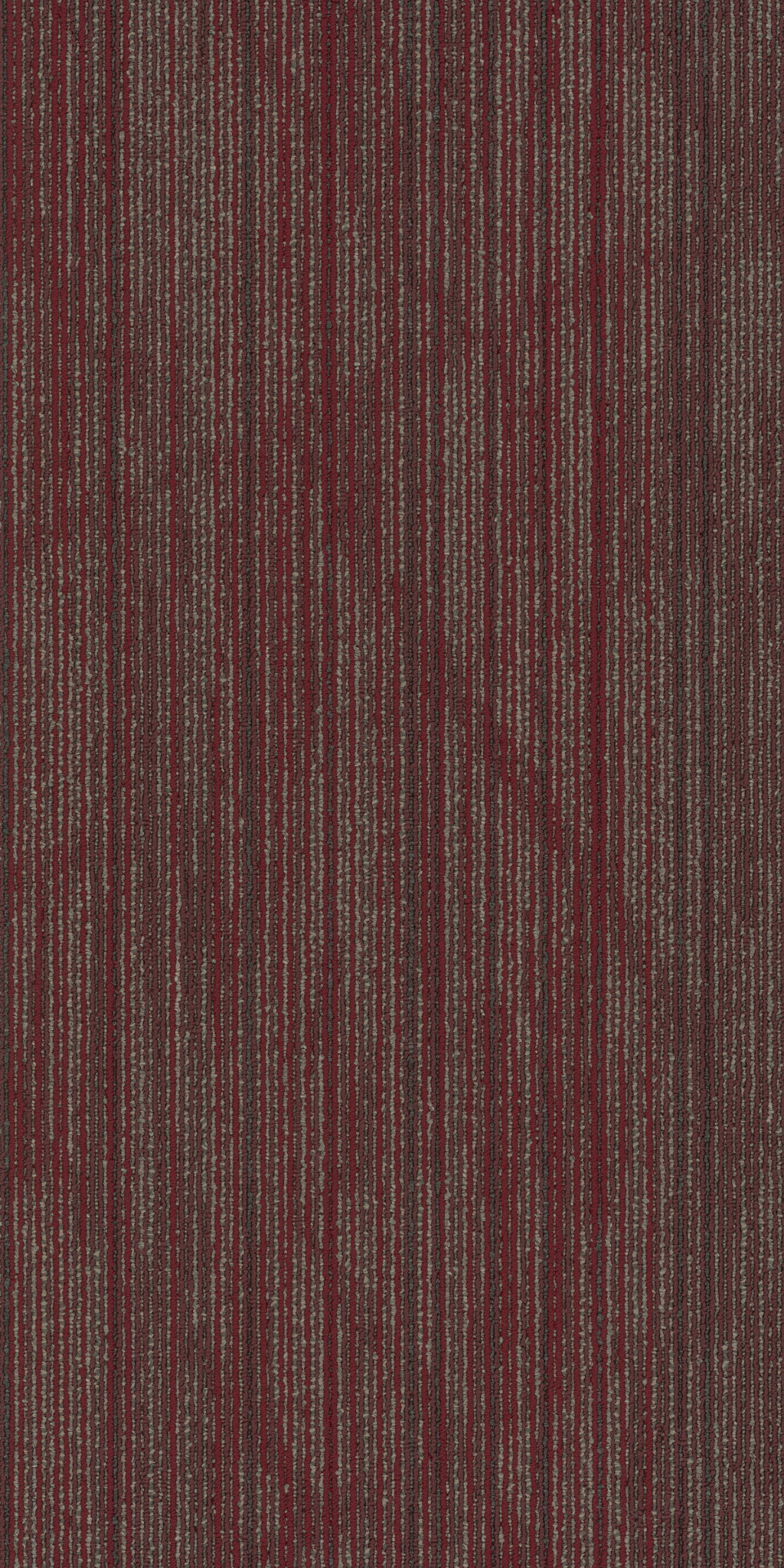 VISIONARY-54903-QUIXOTIC-00800-main-image