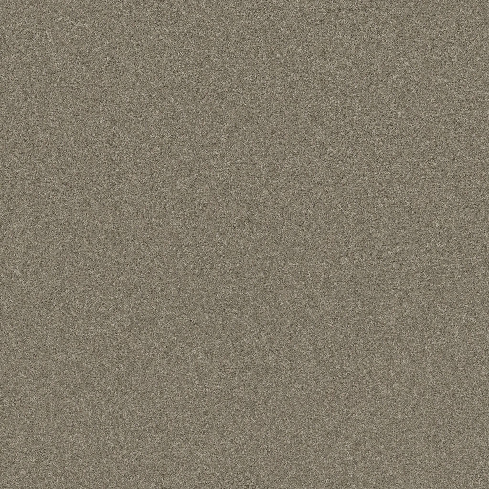 LOOK FORWARD RADIANCE MAIN