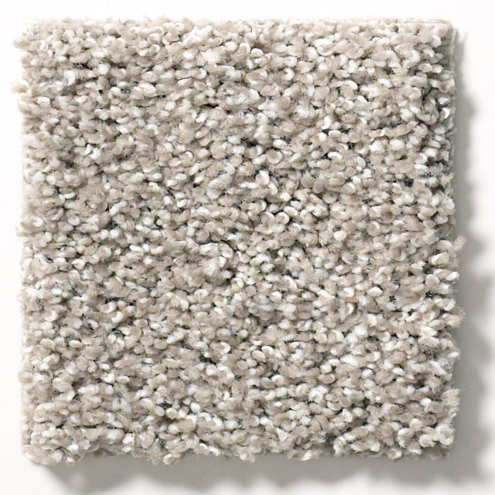 SUAVE MUSHROOM SWATCH