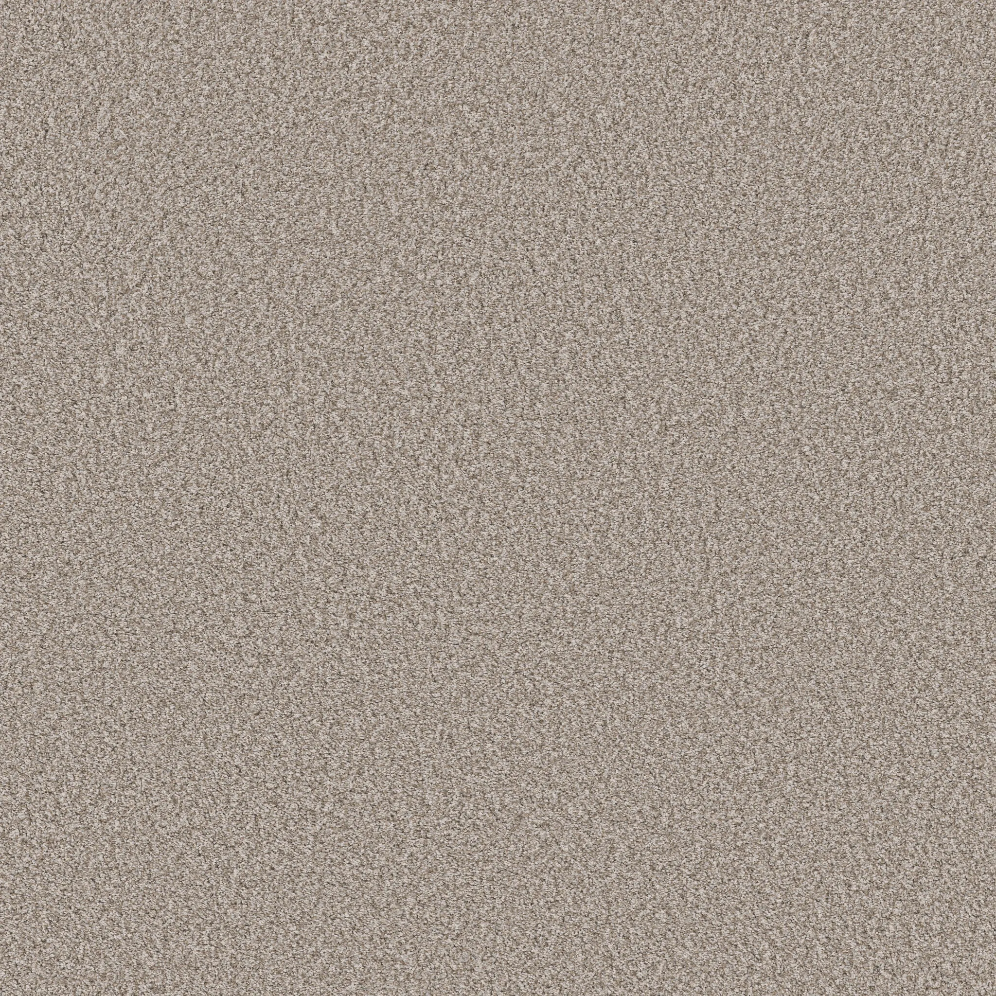 Beige textured carpet swatch for everyday comfort and easy maintenance