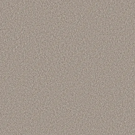 Durable beige carpet for a cozy home atmosphere Beige textured carpet swatch for everyday comfort and easy maintenance