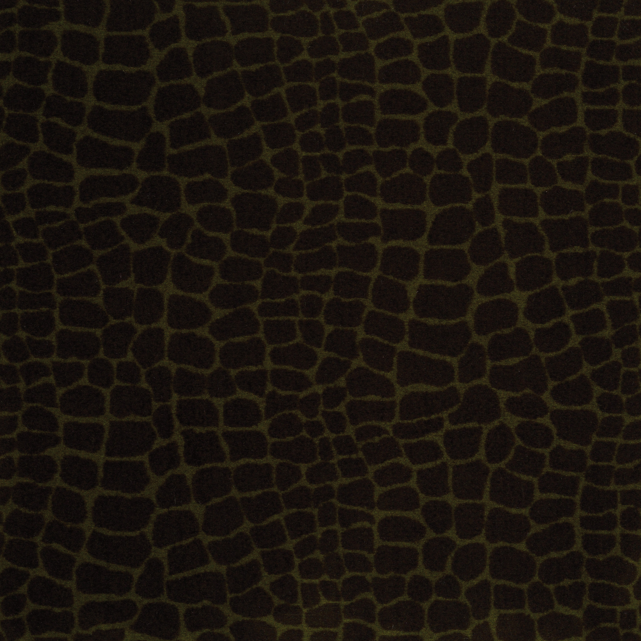 RIVER-CROC-54506-HIDDEN-MOSS-06310-main-image