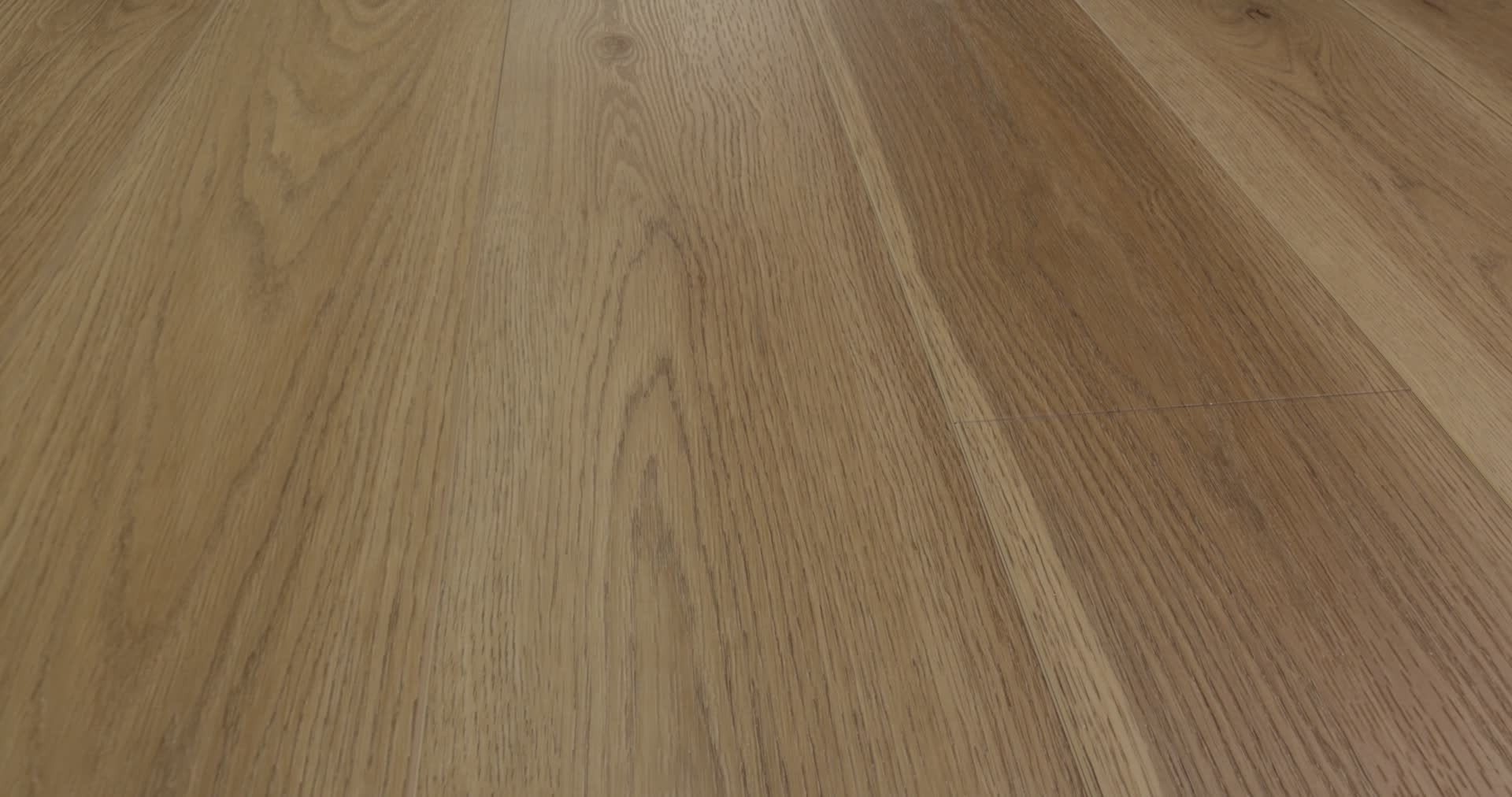 HOMEBOUND HONEY WHEAT 360PROD