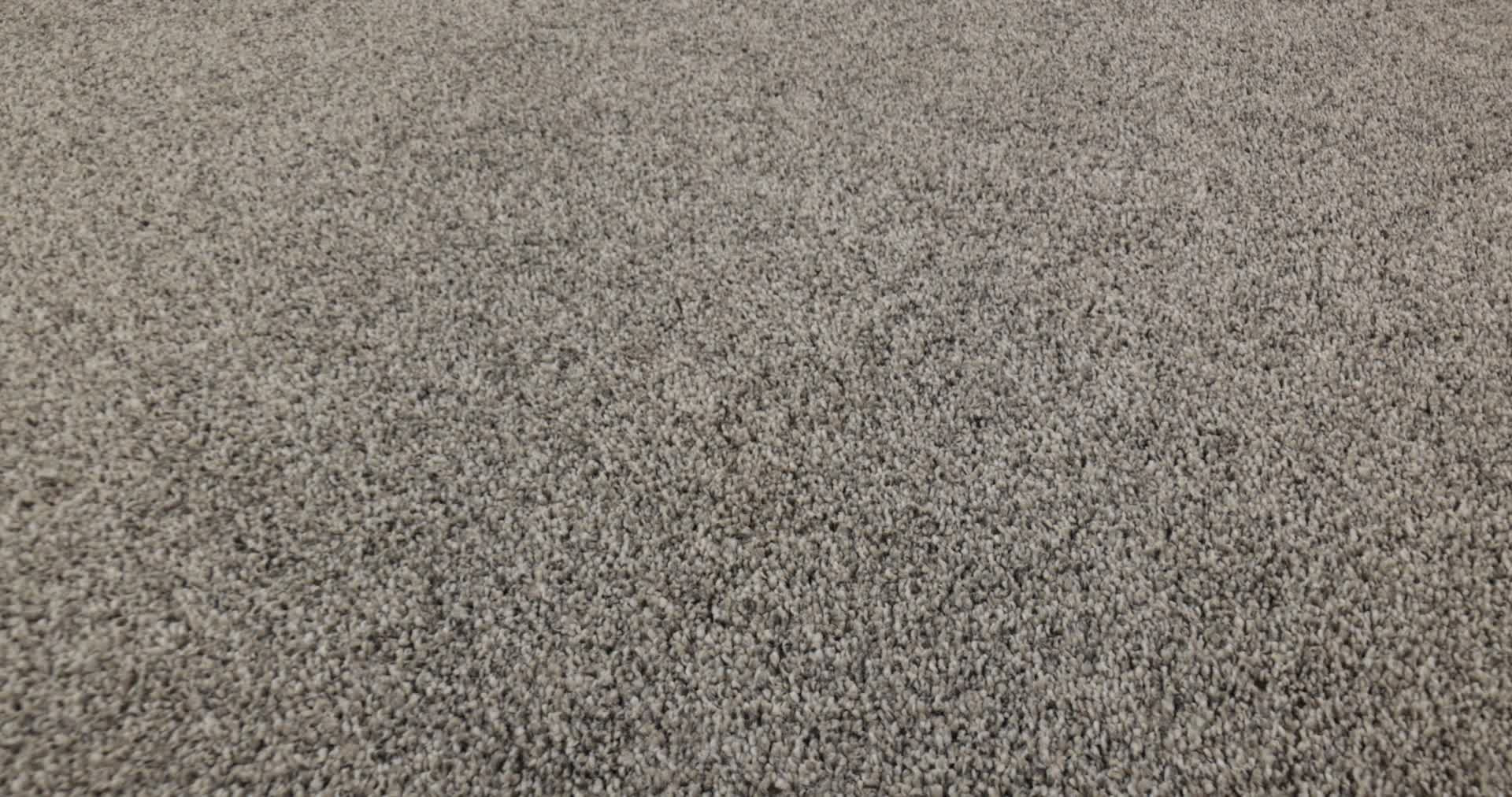 TIMELESS TONE DRIFTWOOD 360PROD