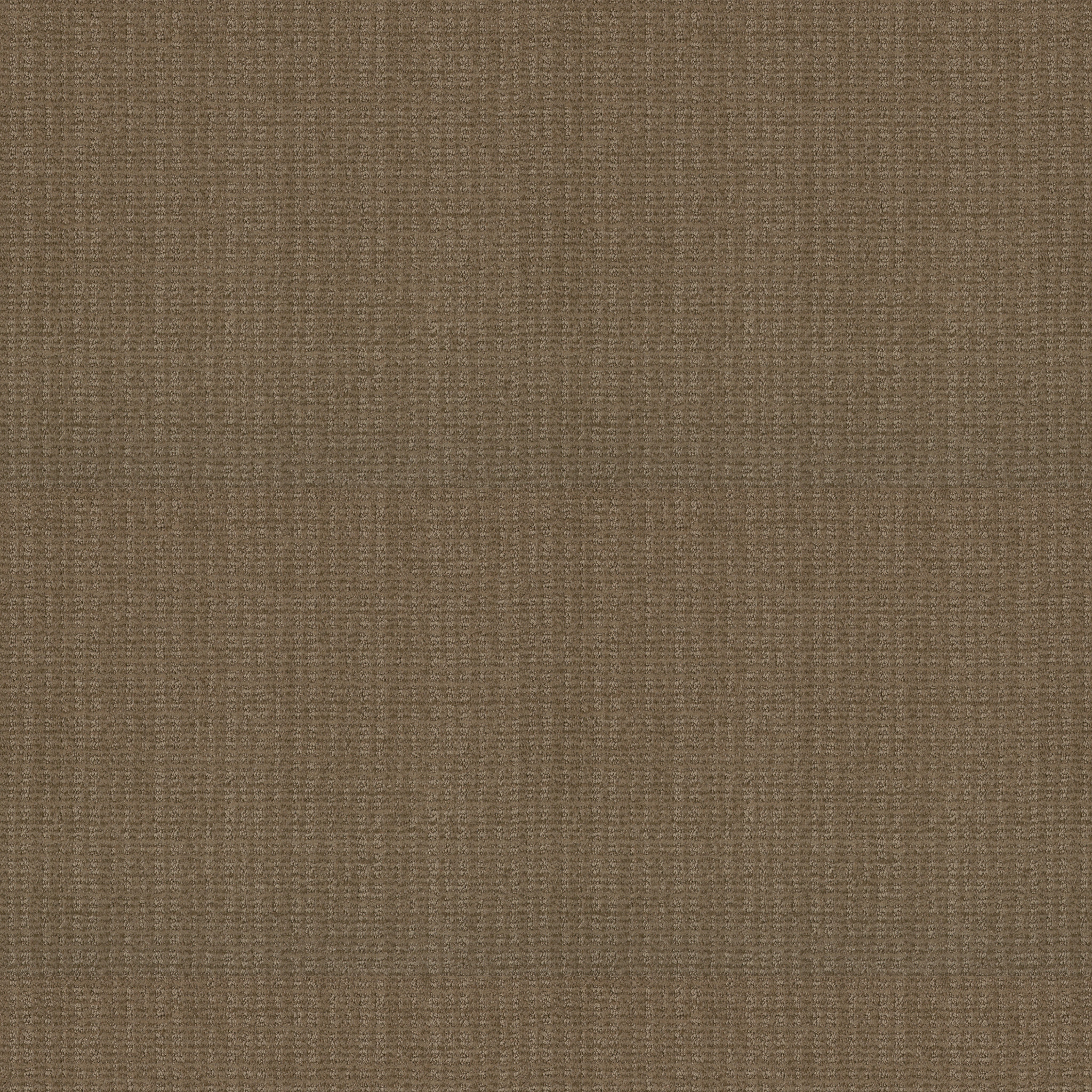 SENSIBLE NOW SUMMERVILLE MAIN