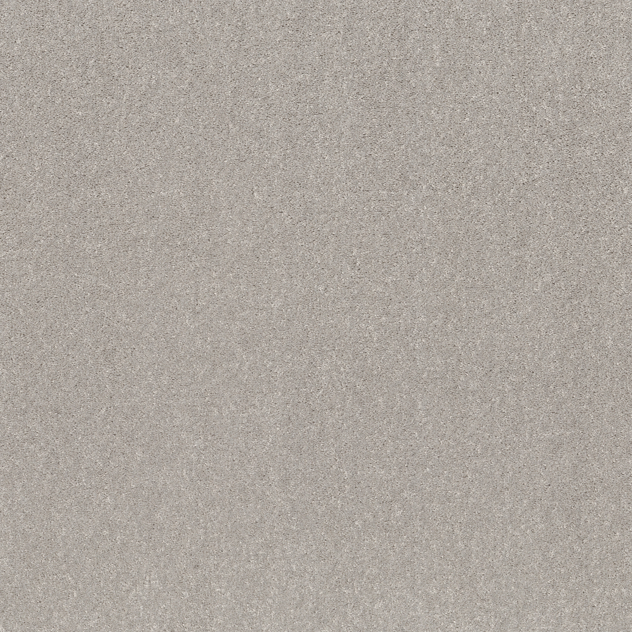 SMOOTH TALK I SILVER MIST MAIN