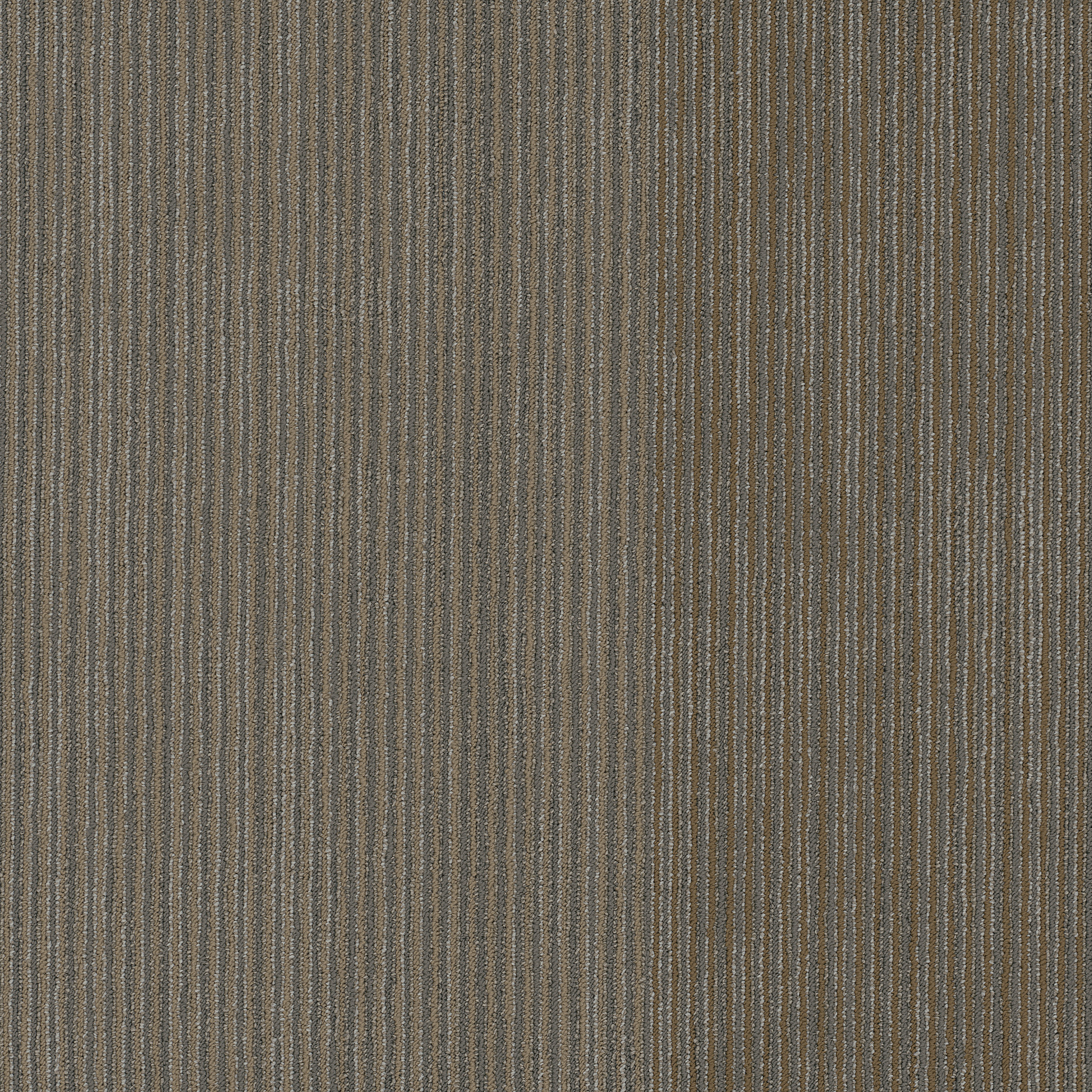 DISCLOSE-54905-FRONT-PAGE-00208-main-image