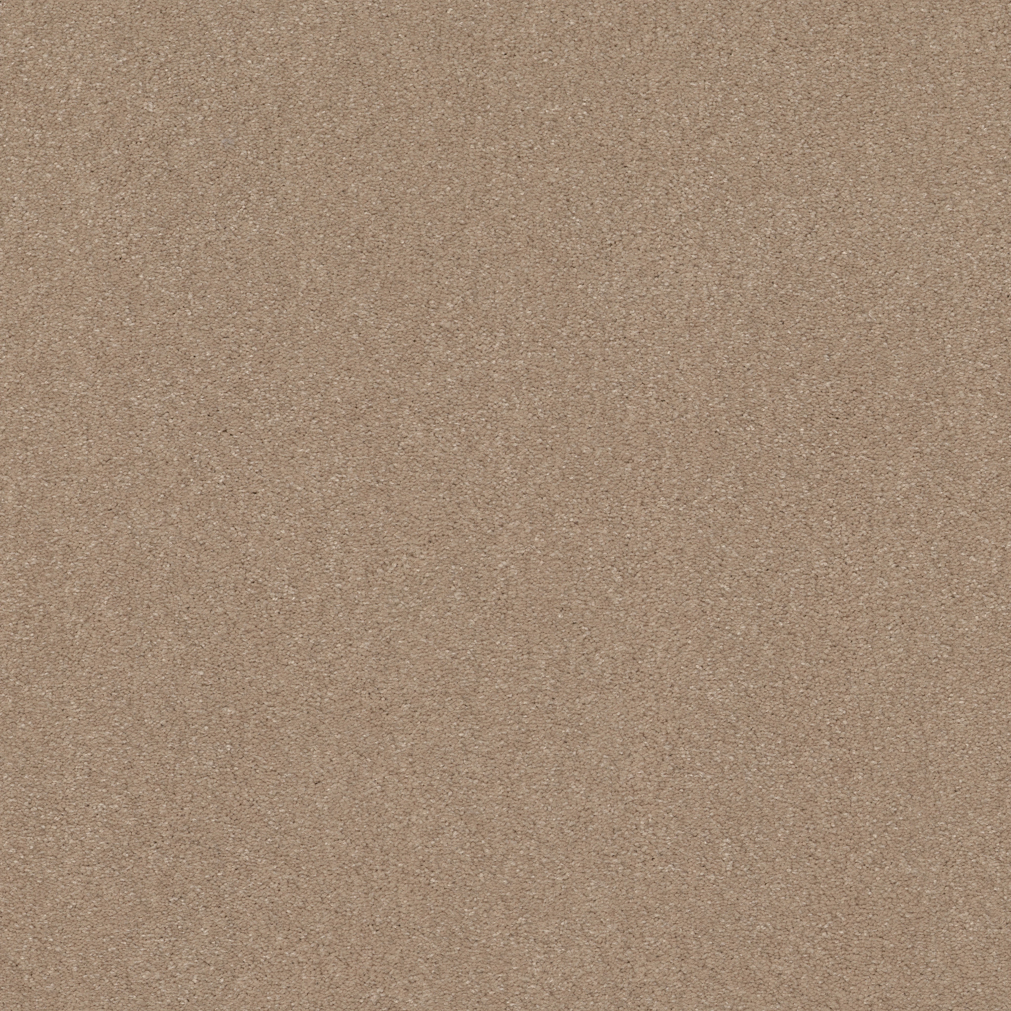 WELL GROUNDED II 15 RAW LUMBER MAIN