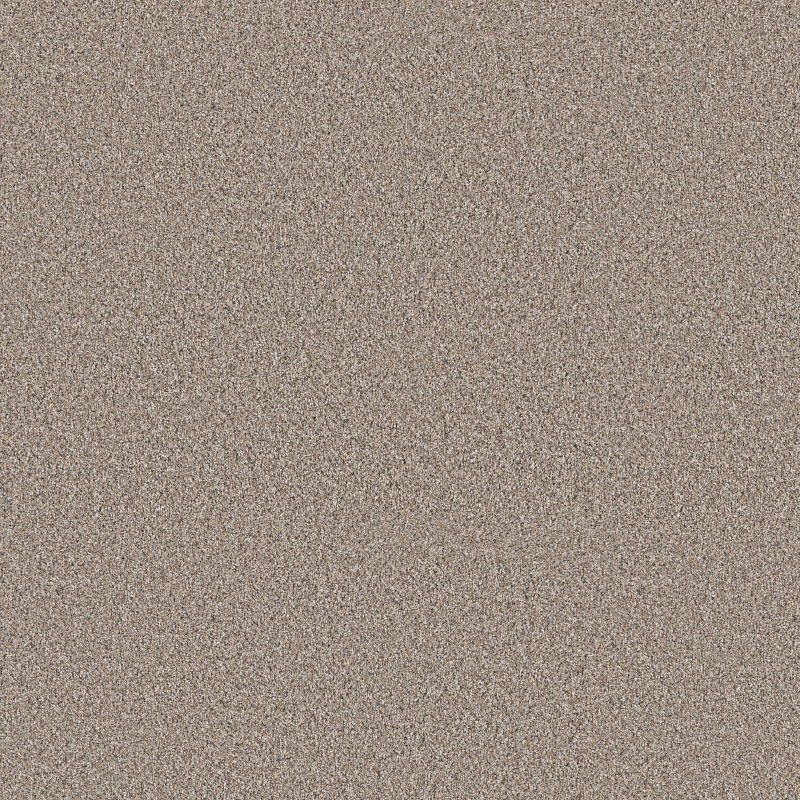 REFINED BEAUTY in Nutria by Shaw Floors