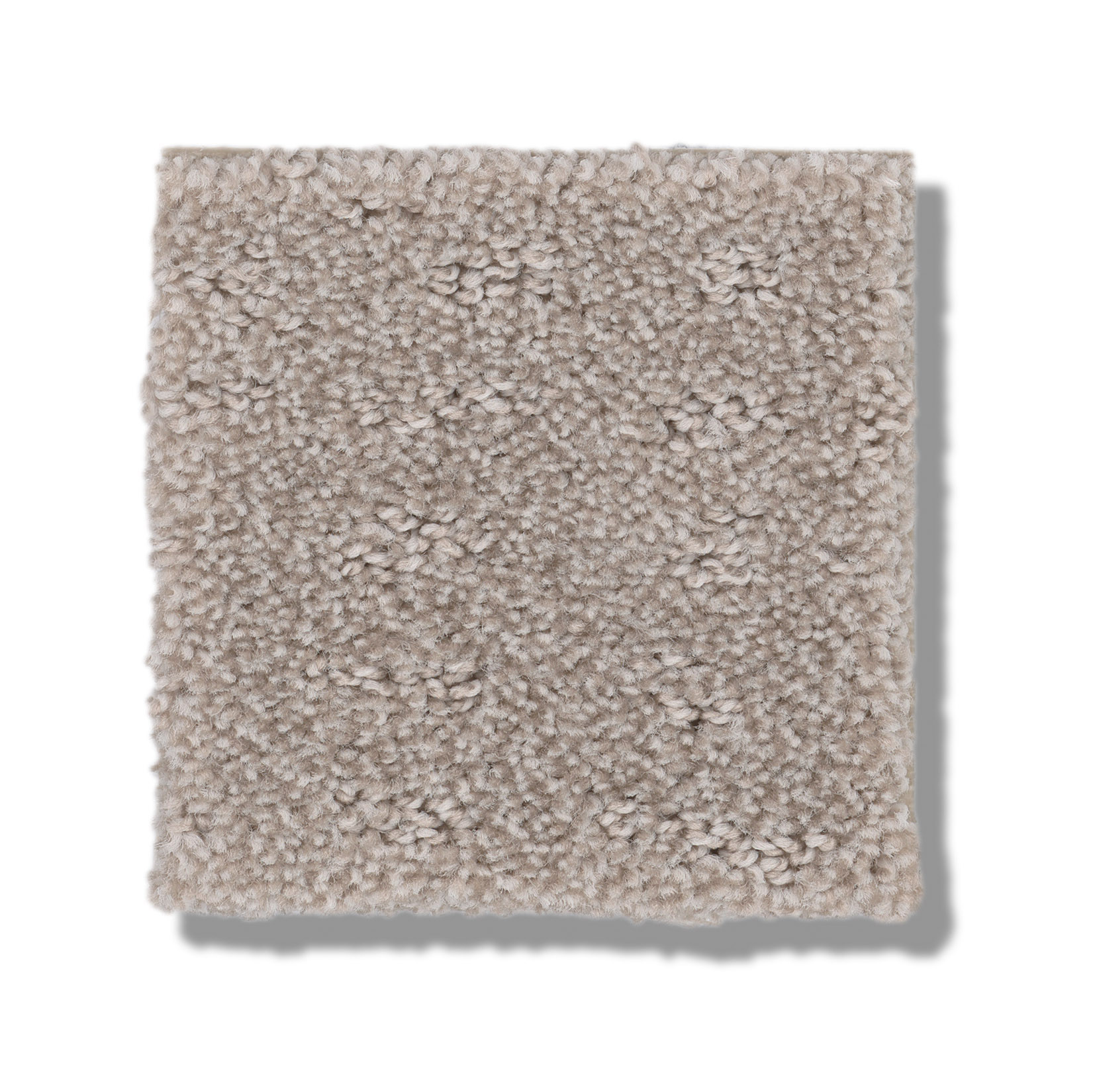 CHIC NUANCE FOSSIL PATH SWATCH