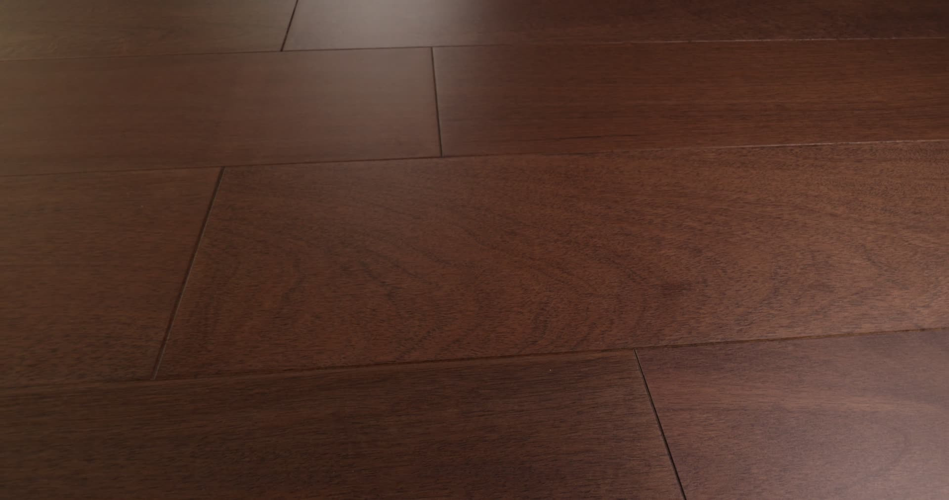 BRASILIA ARGAN 360PROD