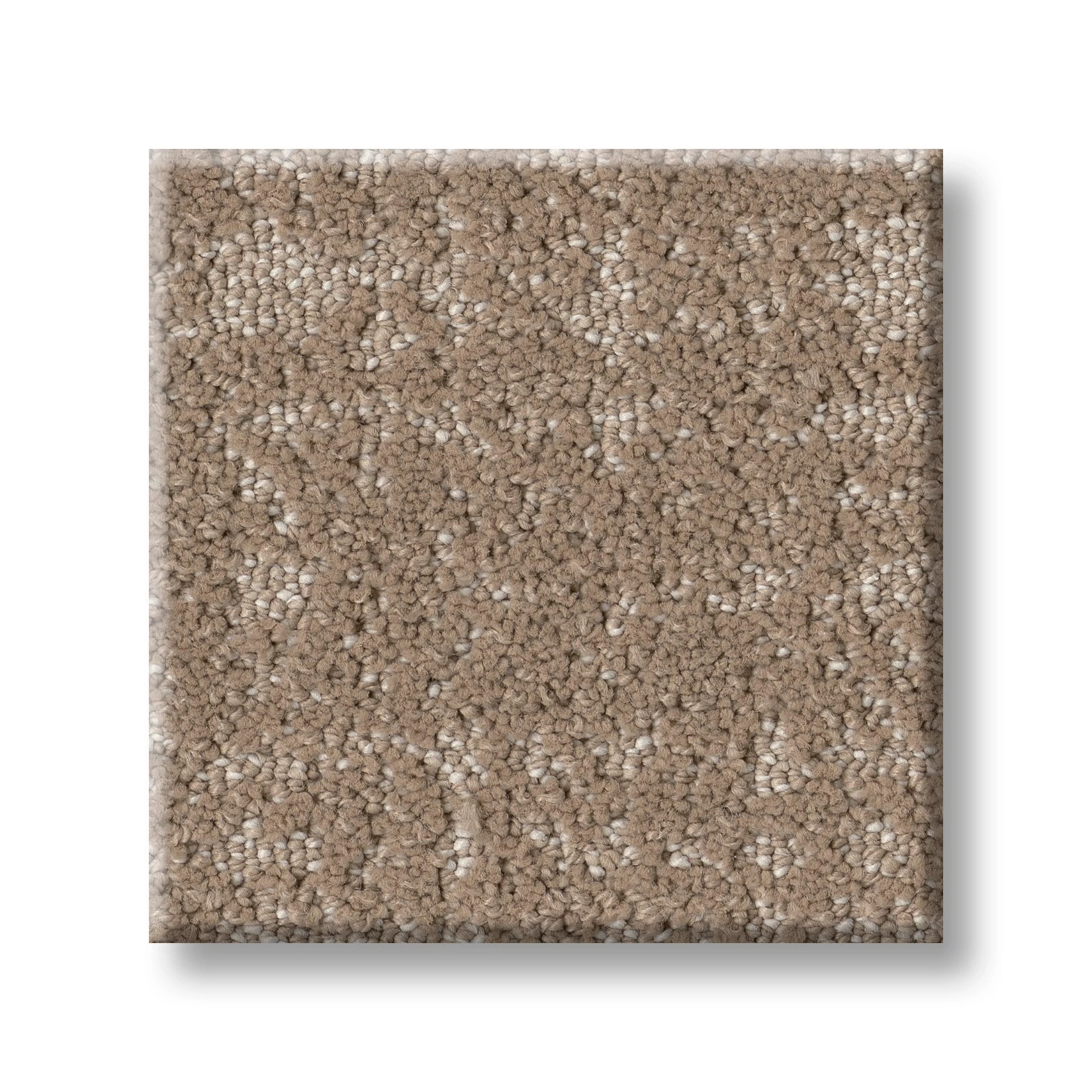 TAILORED CRAFT SADDLE SWATCH