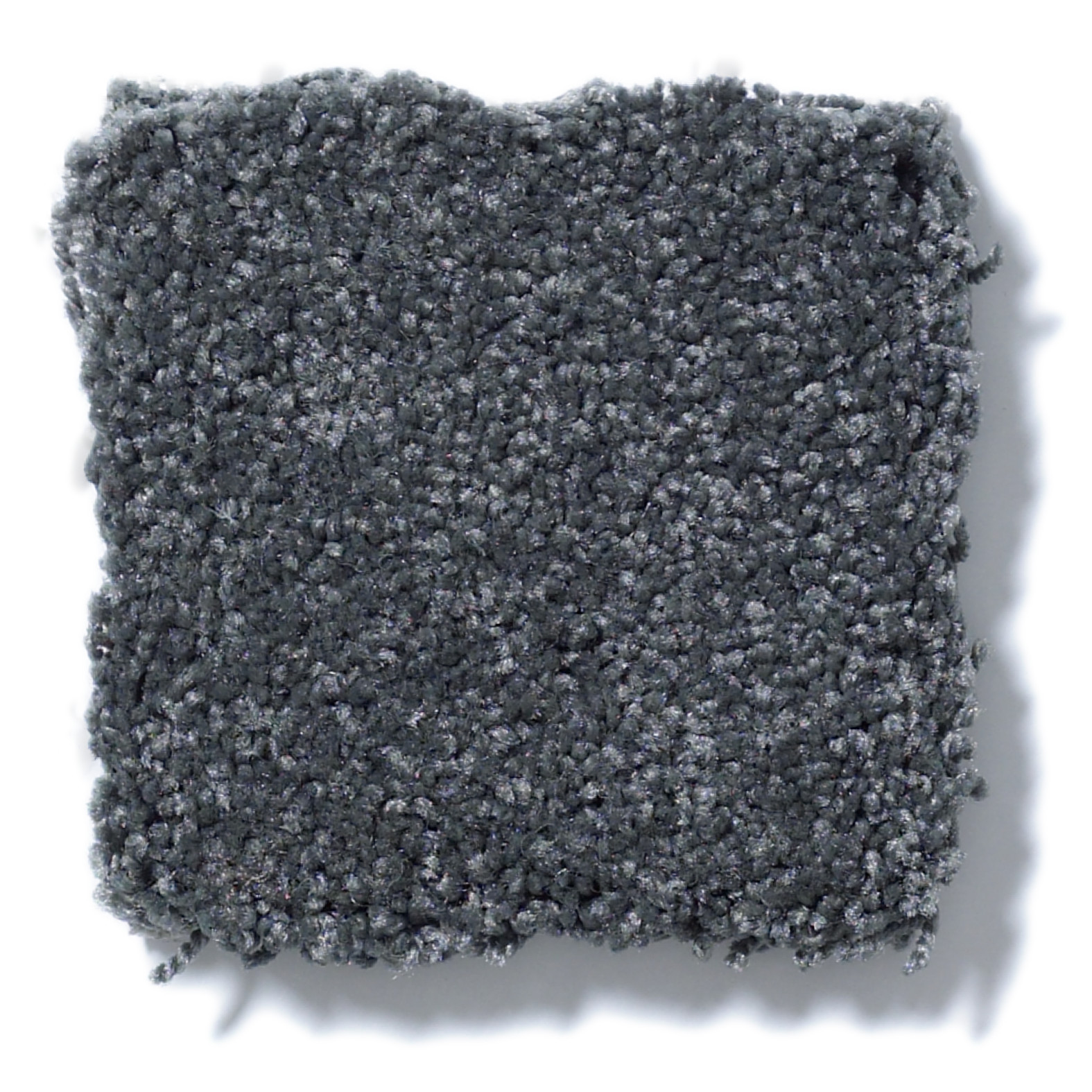 MOMENT OF TRUTH SEACLIFF HEIGHTS SWATCH