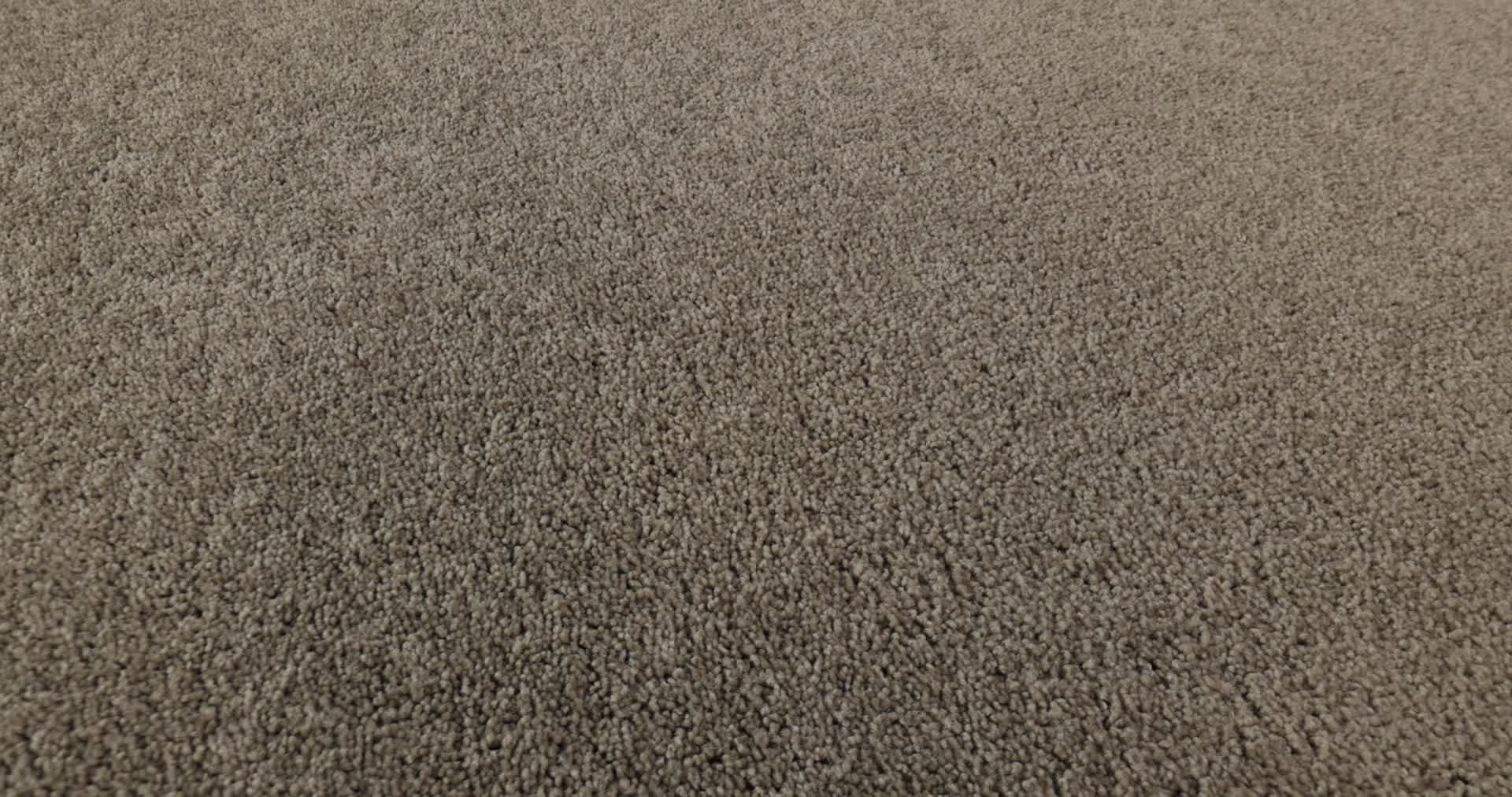 LAGUNA BEACH ASHEN 360PROD