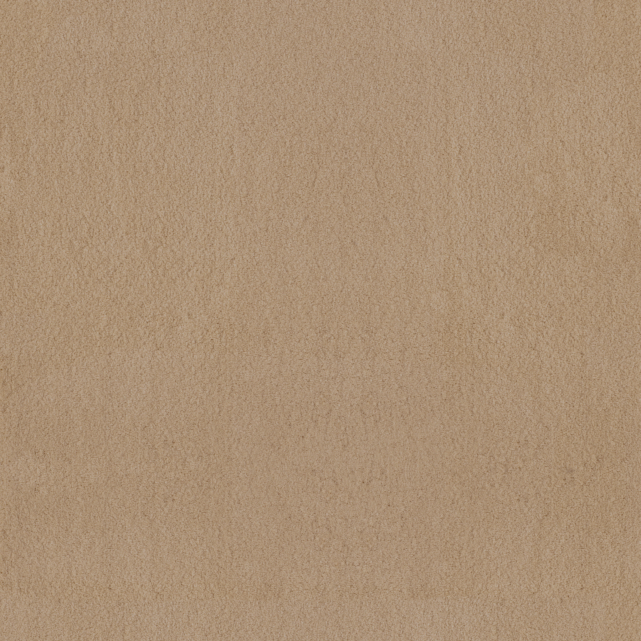 LUXE FEEL I MANILLA MAIN