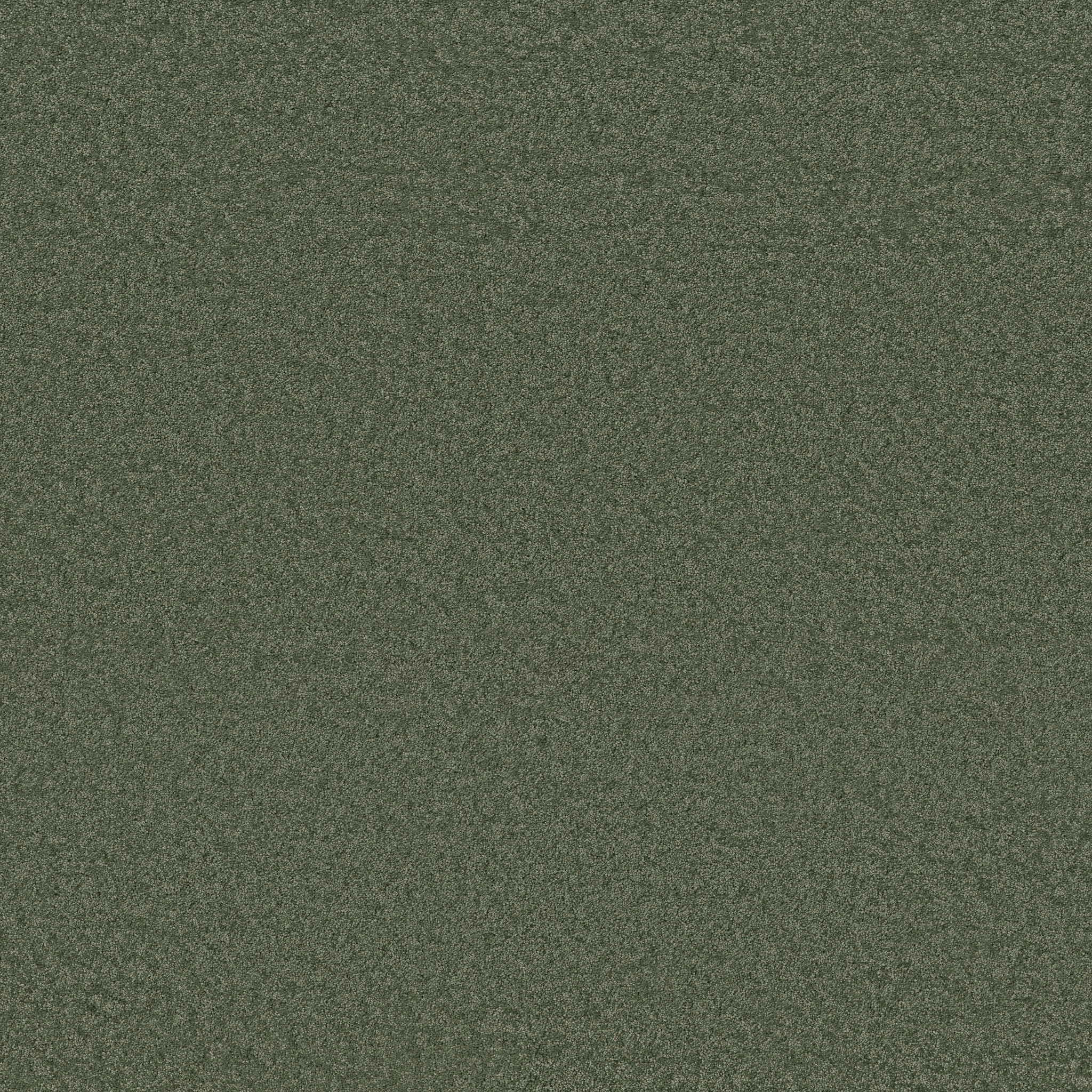 ENCHANTING BERYL MAIN