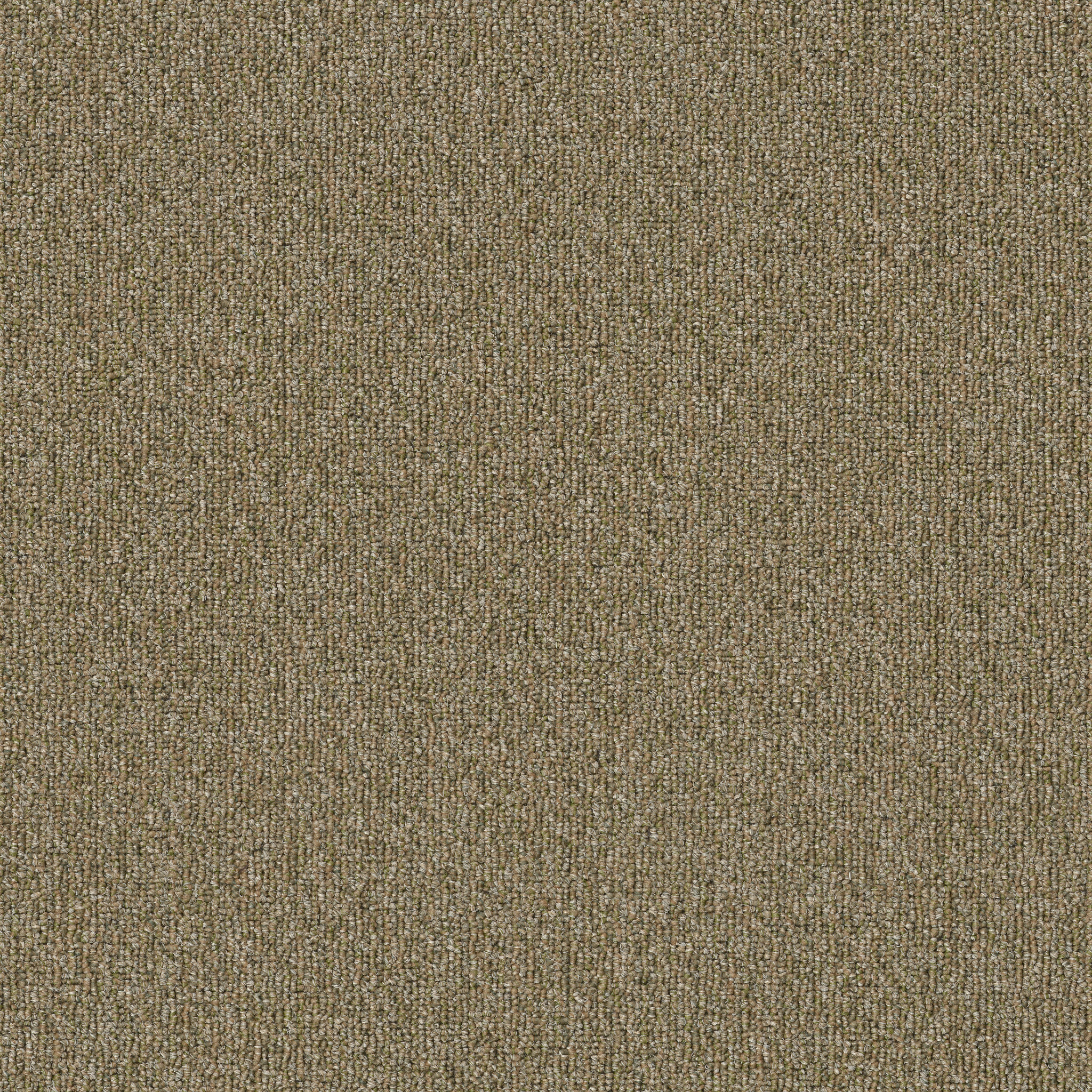 NATURAL-PATH-54636-SEEDLING-00300-main-image