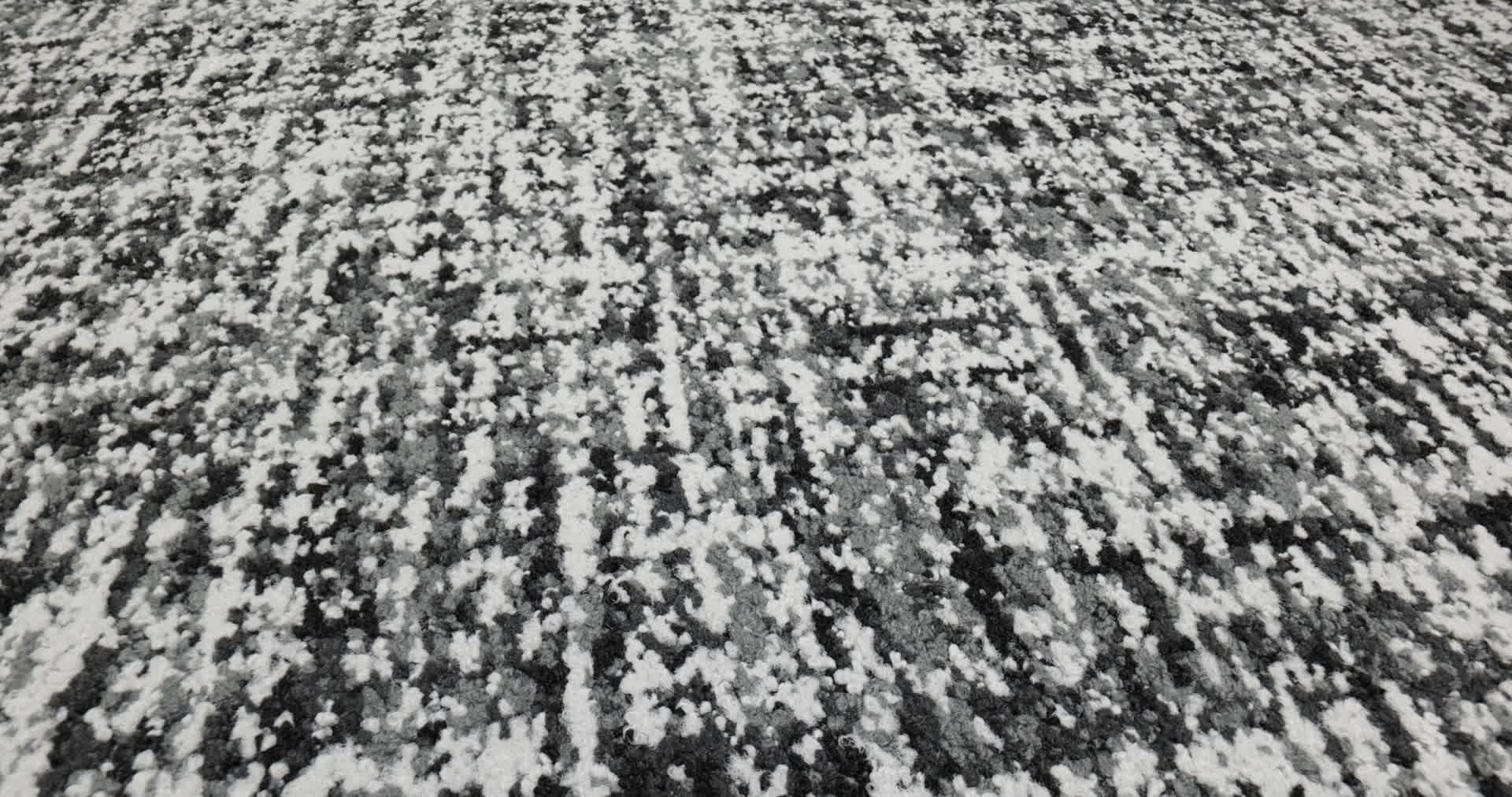 Textile Merino Rotation360