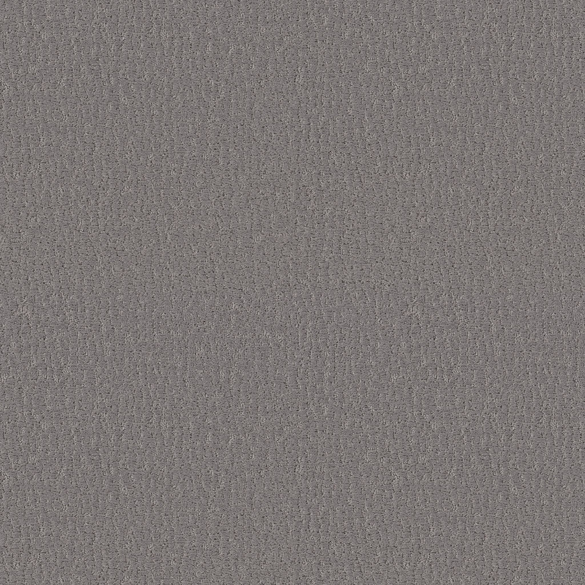 STUDIO SET LUNAR HAZE MAIN