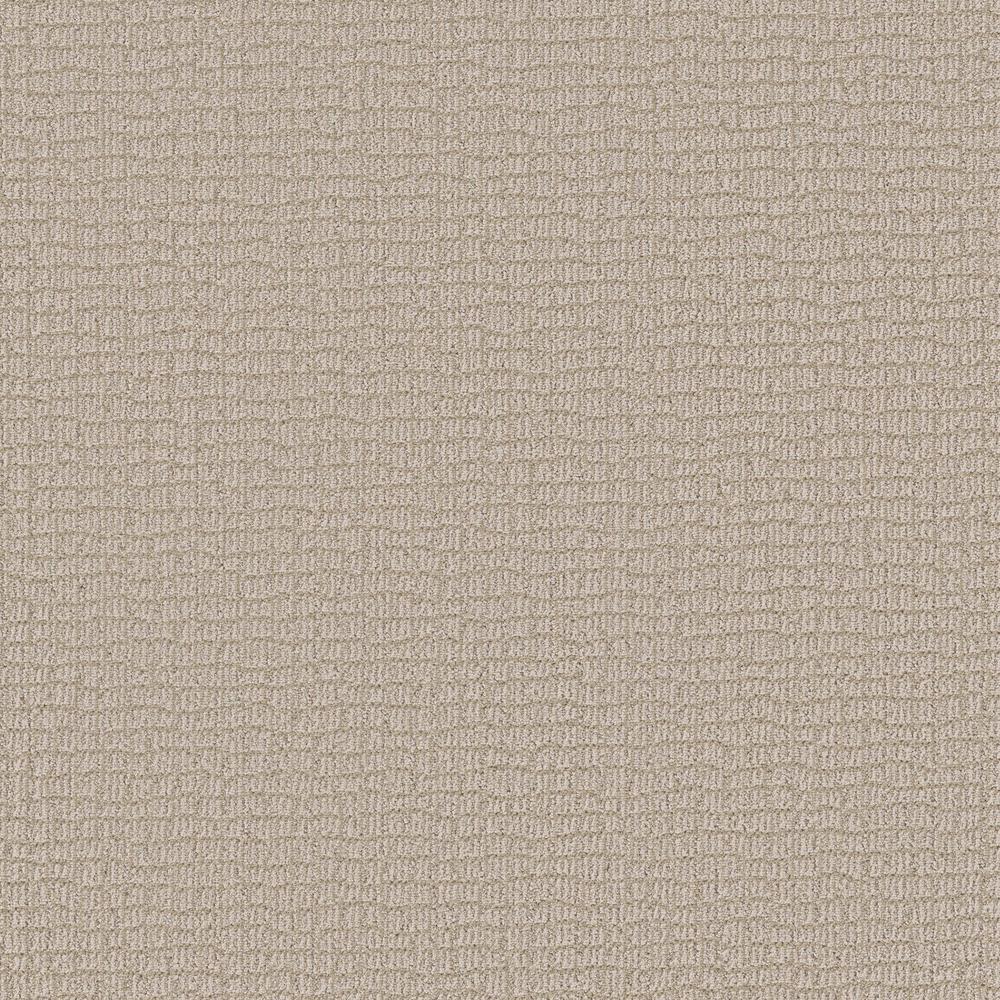 PATH HOME WARM LIGHT MAIN