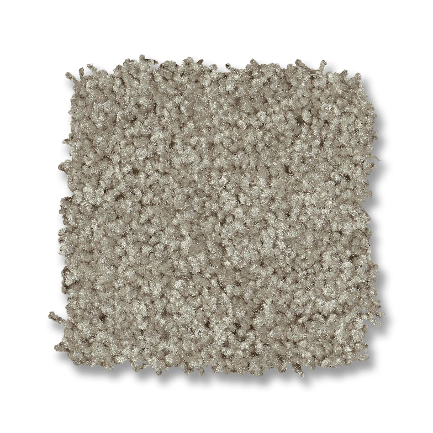 PREMIER ROLE CASCADE SWATCH