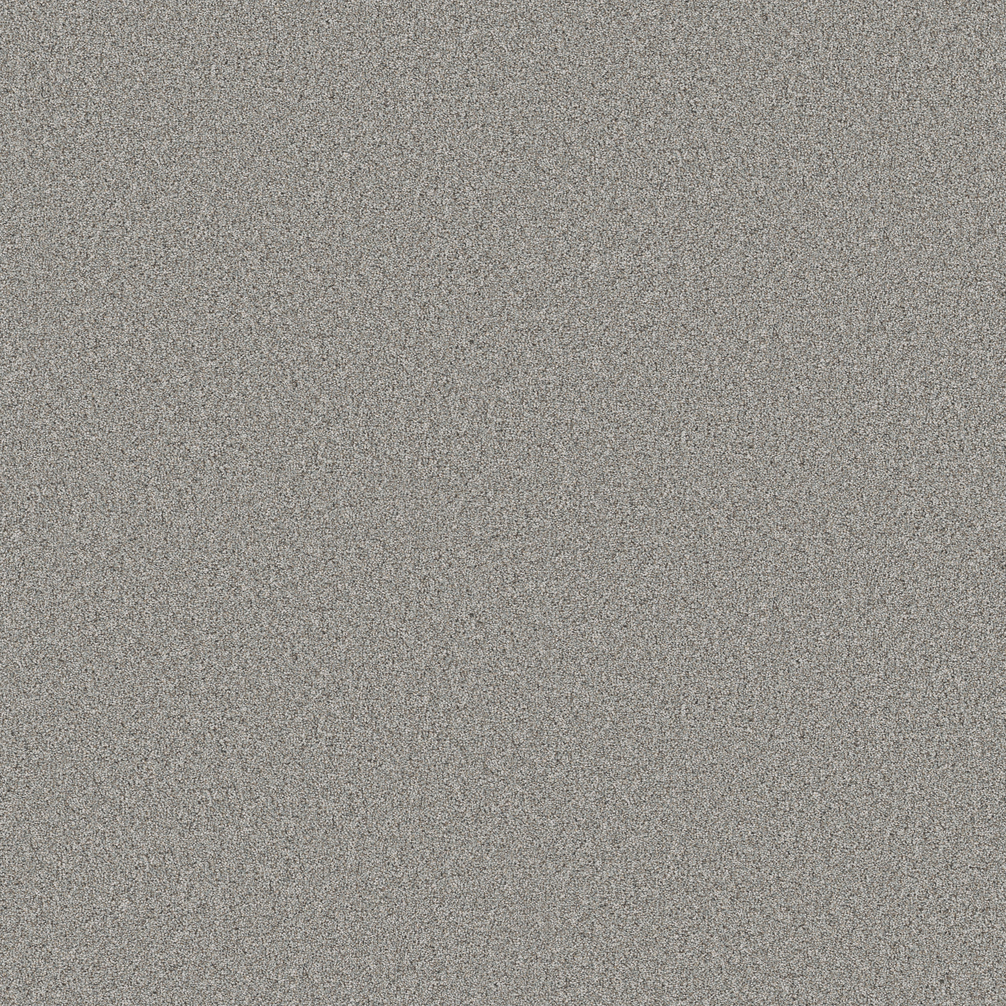 TIMELESS TONE SKY BLUE MAIN