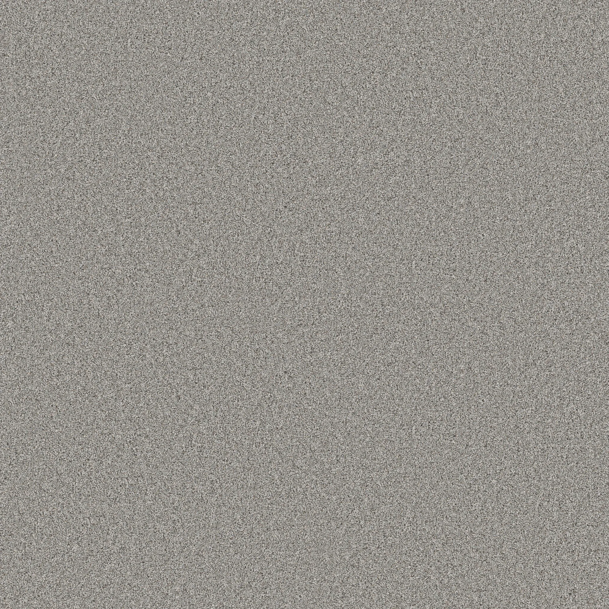 magnolia-branch-enhance-your-space-with-the-timeless-beauty-of-pattern-broadloom-carpet-flooring